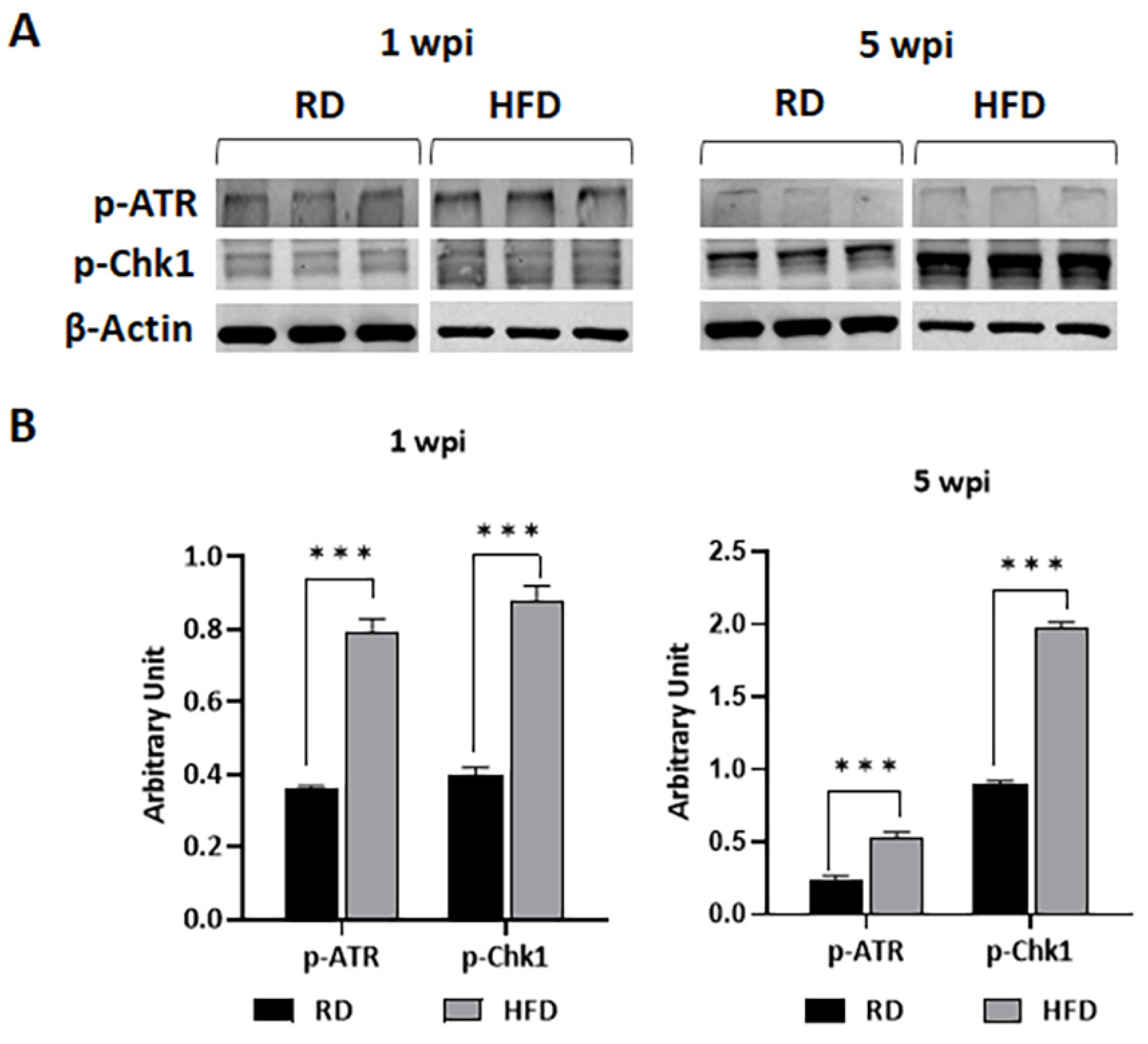 Jcm 12 00413 g008 Jcm 12 00413 g008