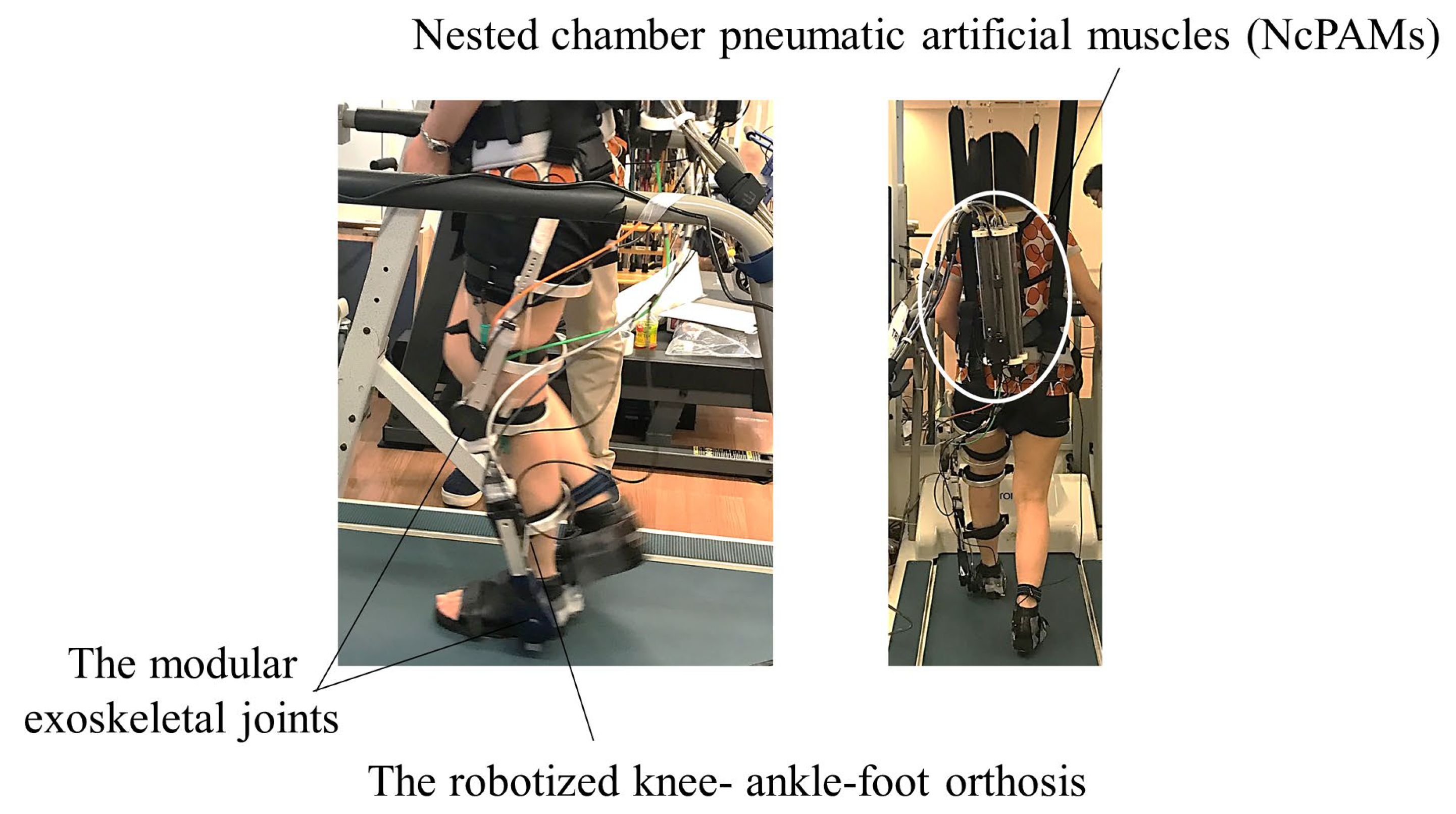 JCM Free Full Text Robotized Knee Ankle Foot Orthosis Assisted