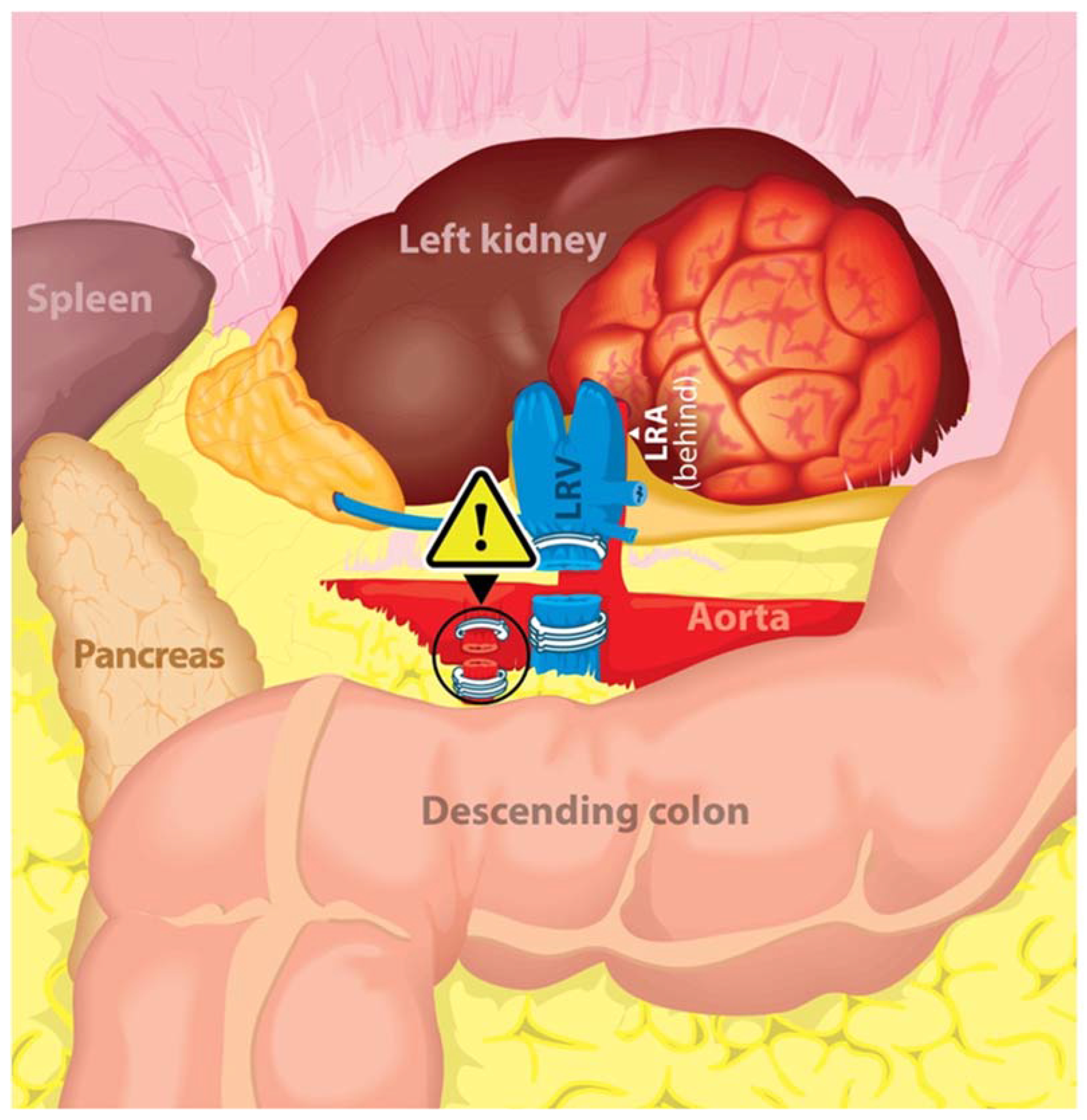 Jcm 12 00427 g002 Jcm 12 00427 g002