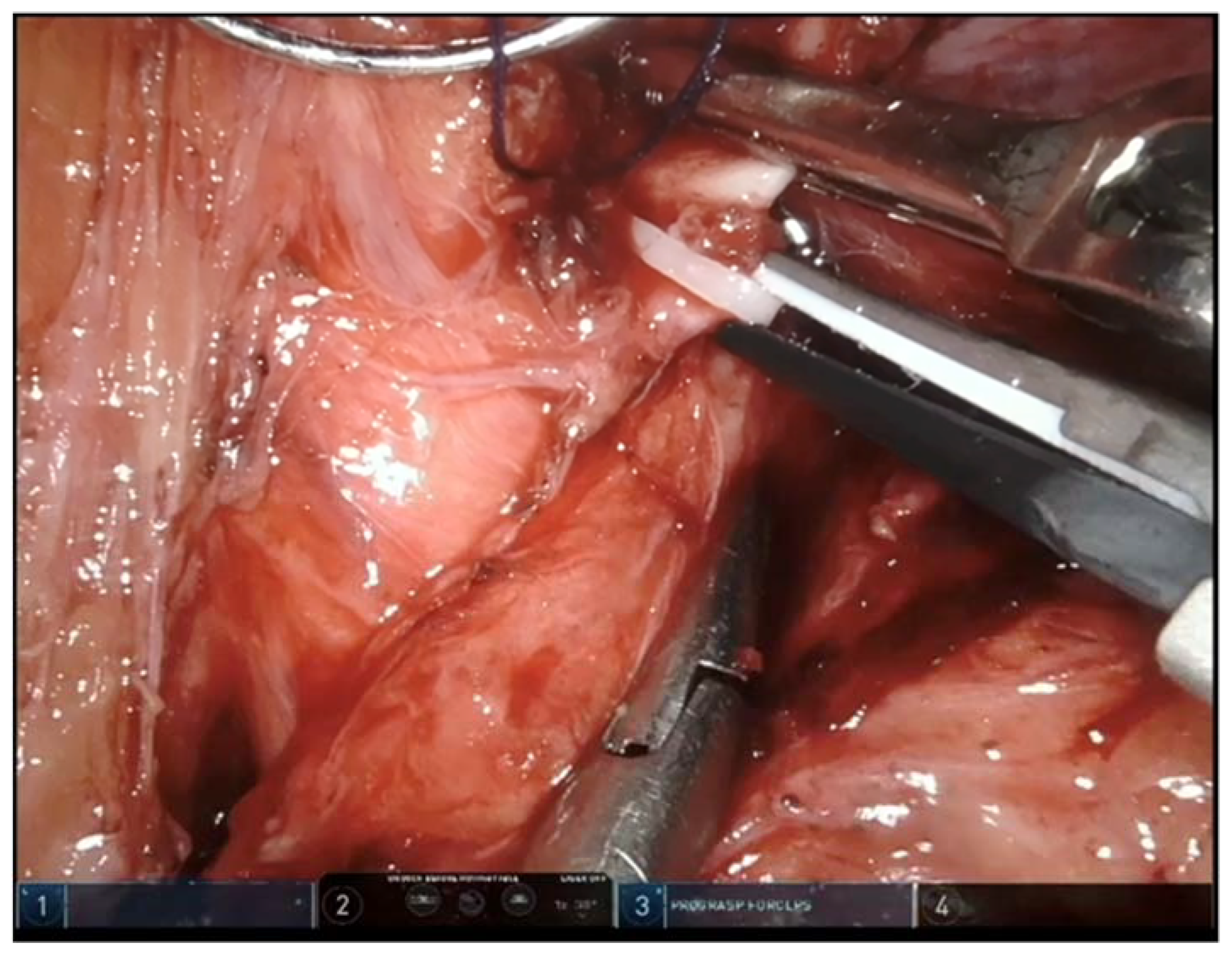 Jcm 12 00427 g003 Jcm 12 00427 g003