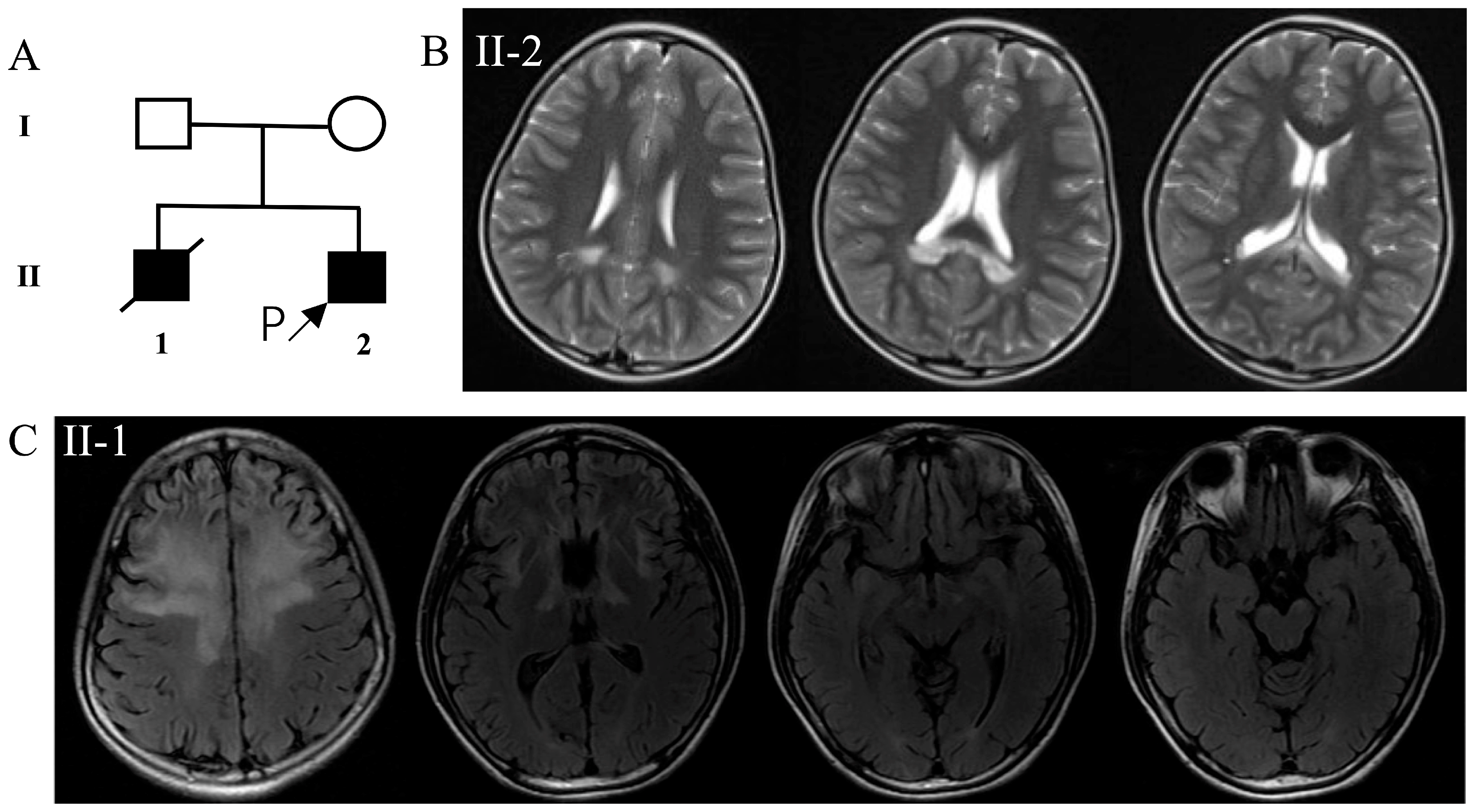 Jcm 12 00473 g001 Jcm 12 00473 g001