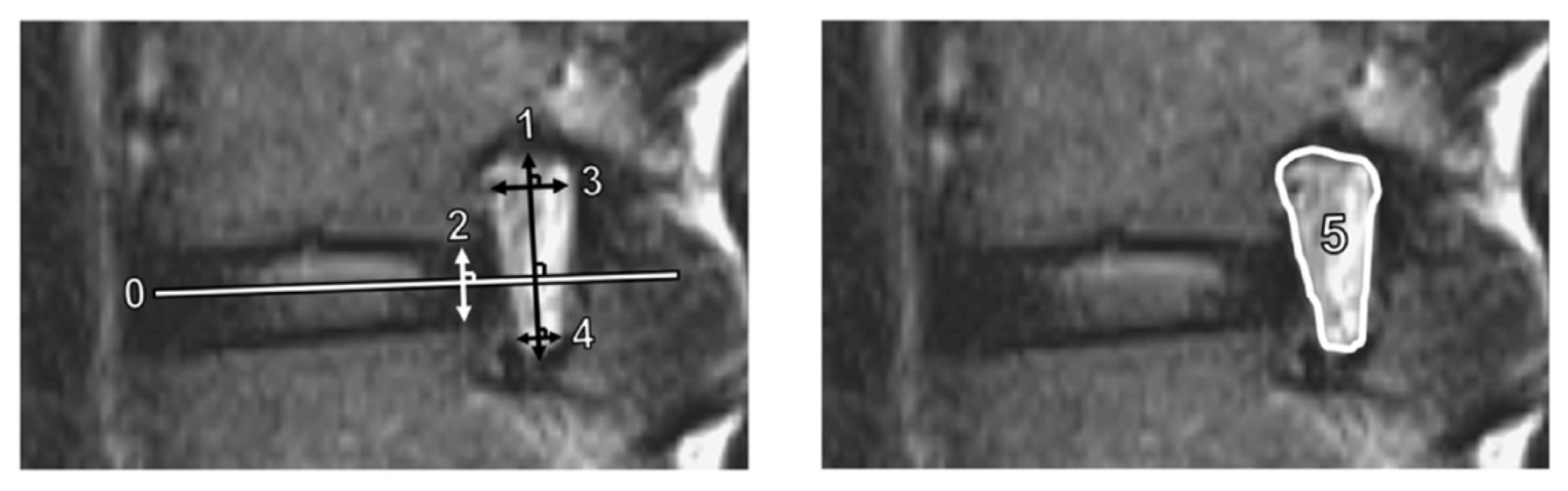 Jcm 12 00479 g002 Jcm 12 00479 g002
