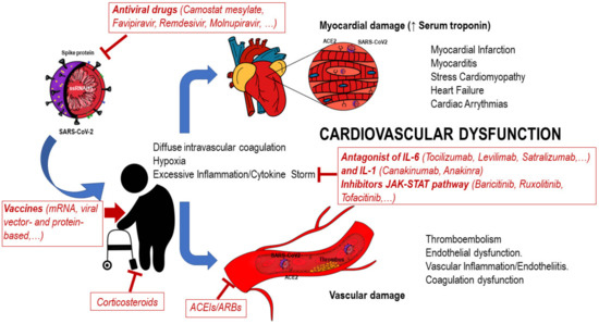 COVID-19: A Comprehensive Review on Cardiovascular Alterations ...