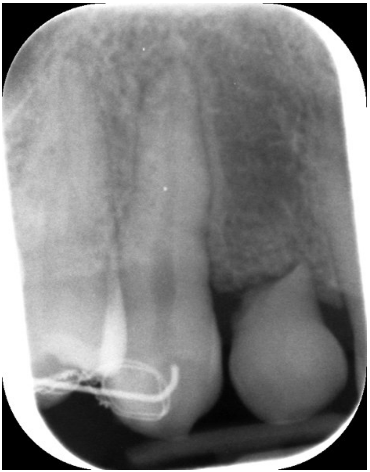 Jcm 12 00489 g003 Jcm 12 00489 g003