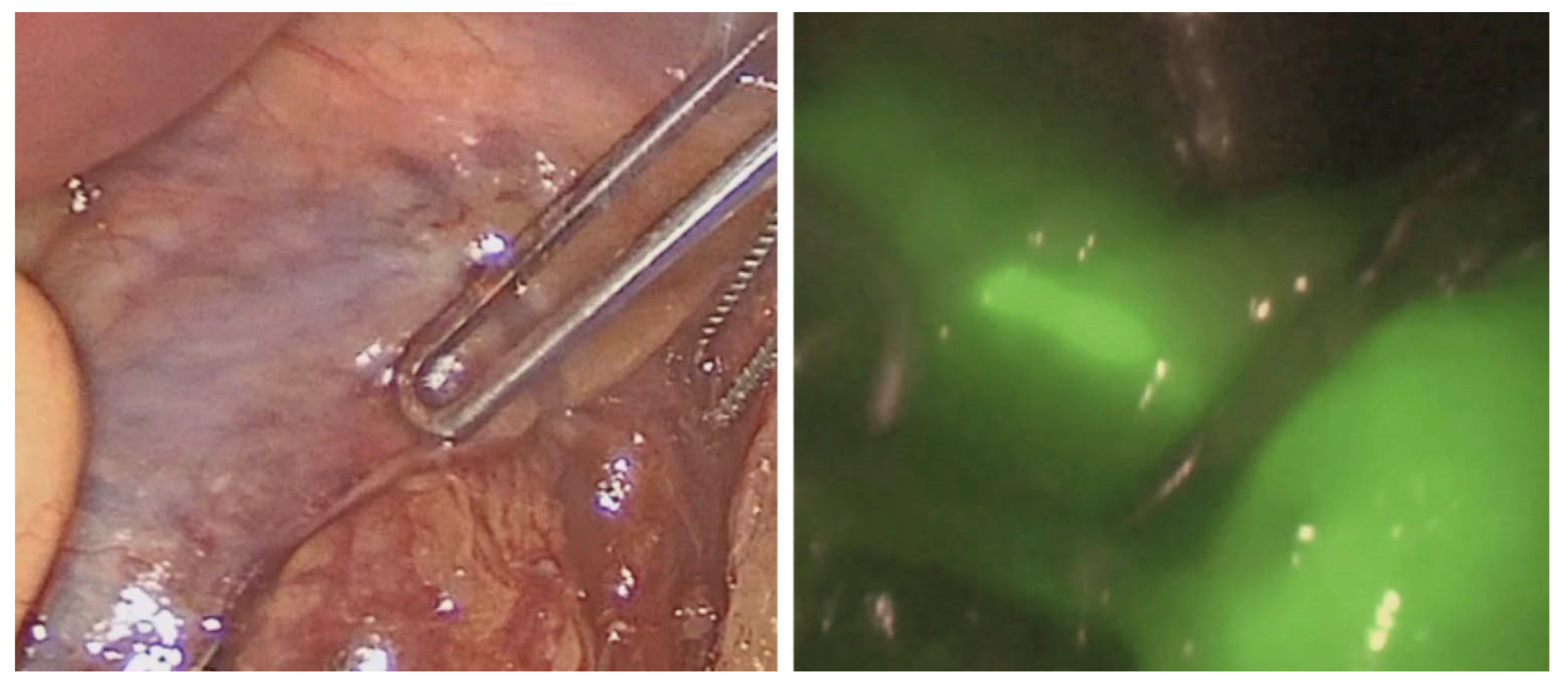 Jcm 12 00494 g004 Jcm 12 00494 g004