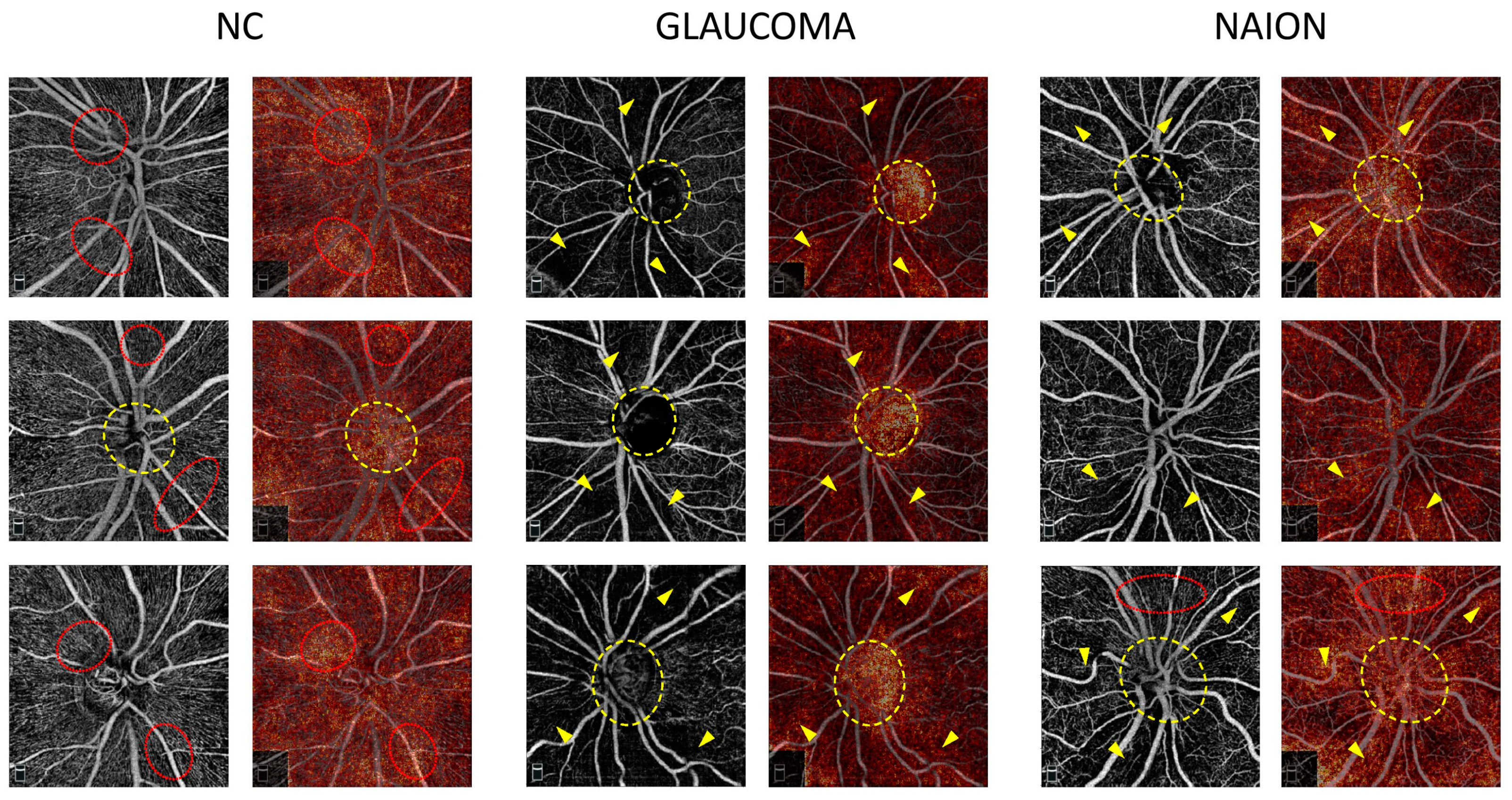 Jcm 12 00507 g002 Jcm 12 00507 g002
