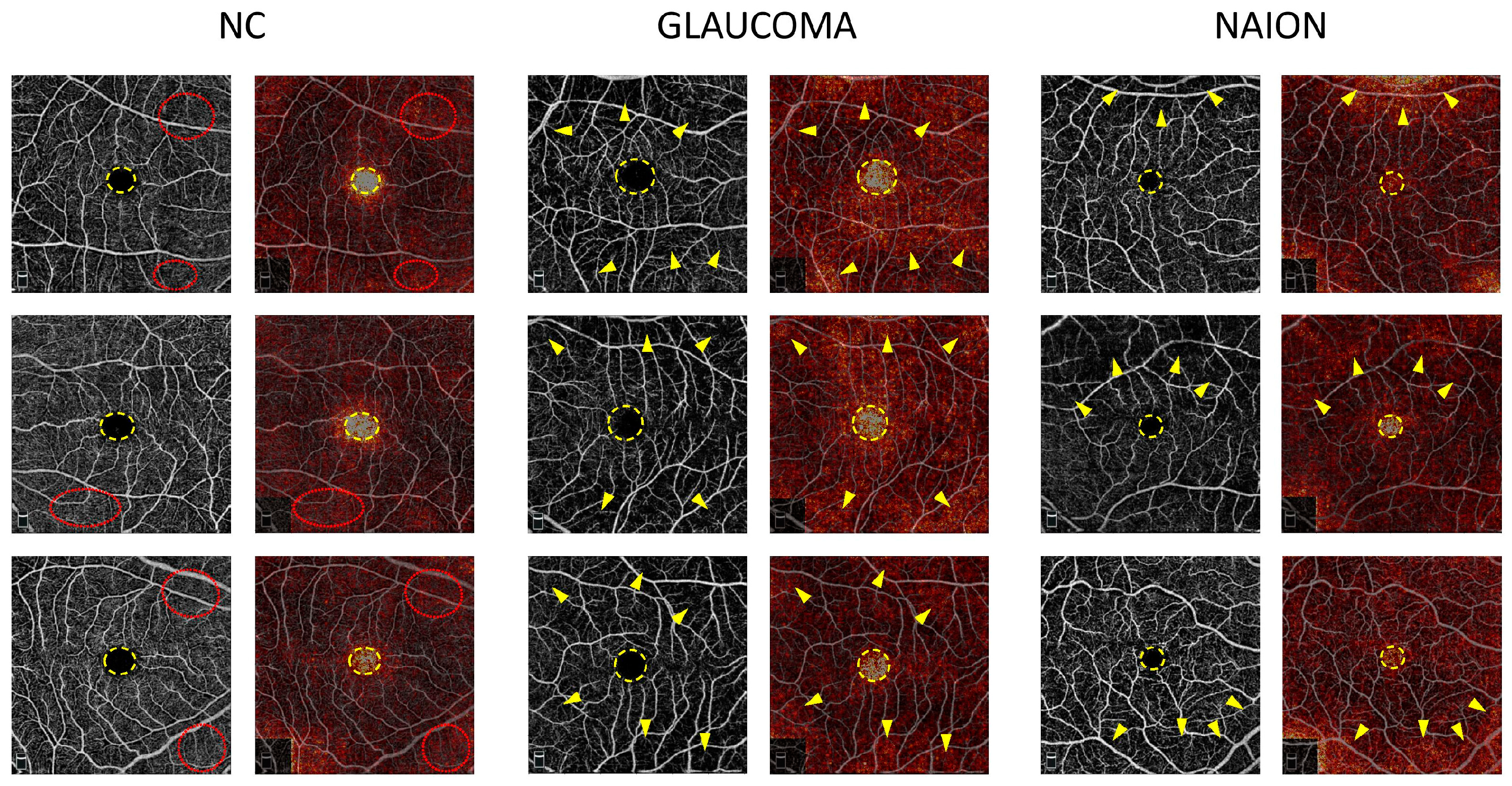 Jcm 12 00507 g003 Jcm 12 00507 g003