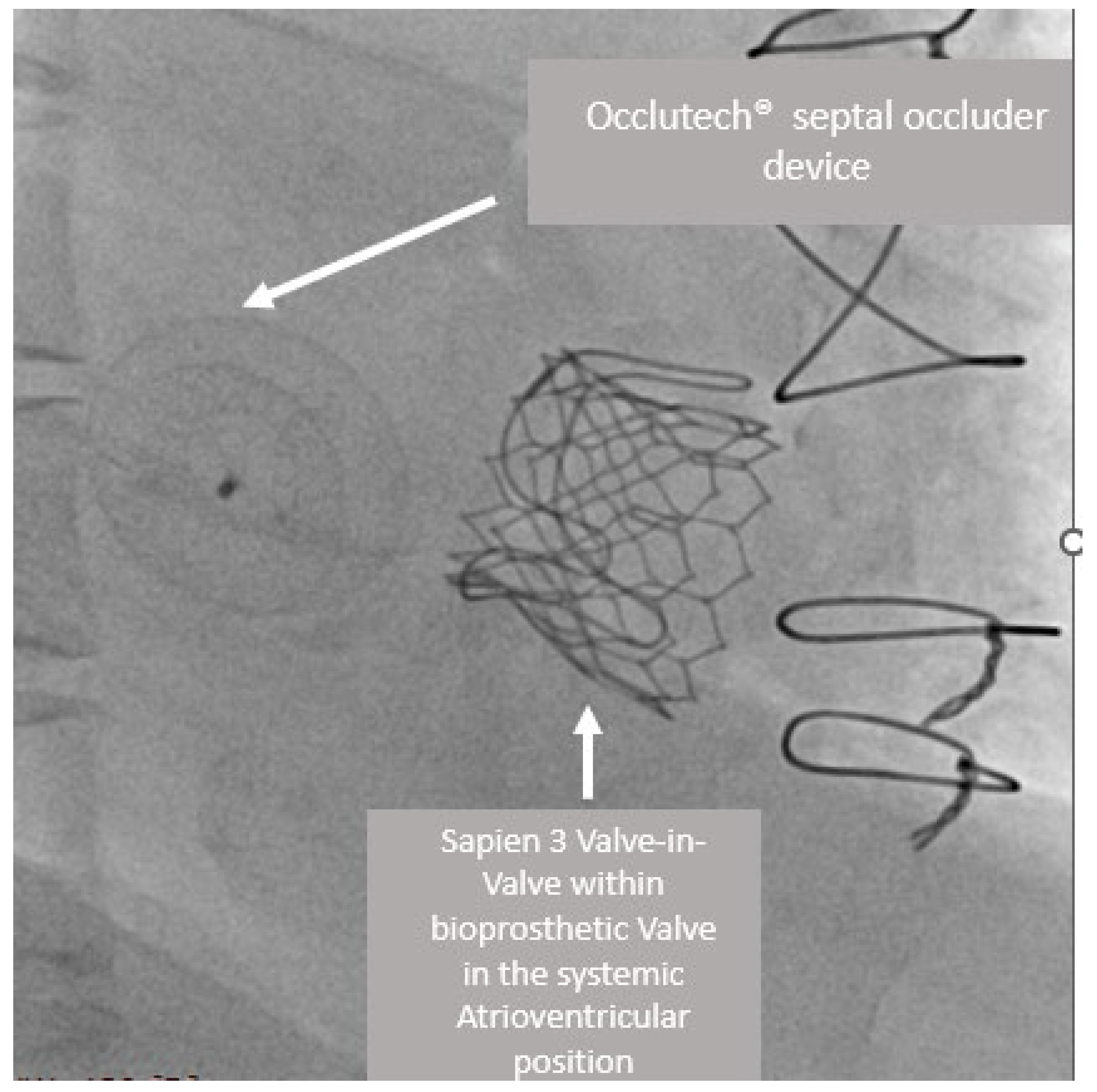Jcm 12 00521 g001 Jcm 12 00521 g001