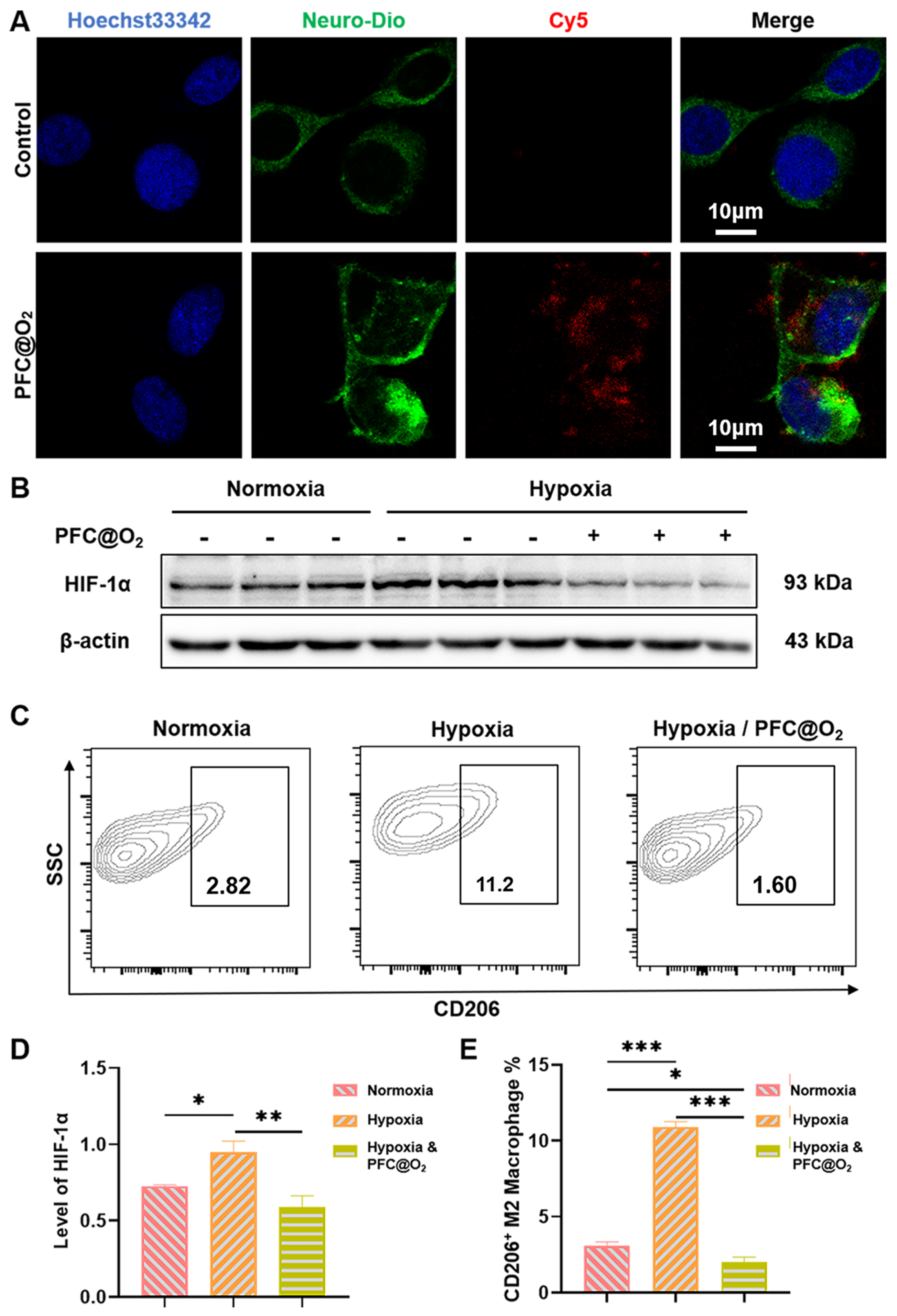 Jcm 12 00560 g002 Jcm 12 00560 g002