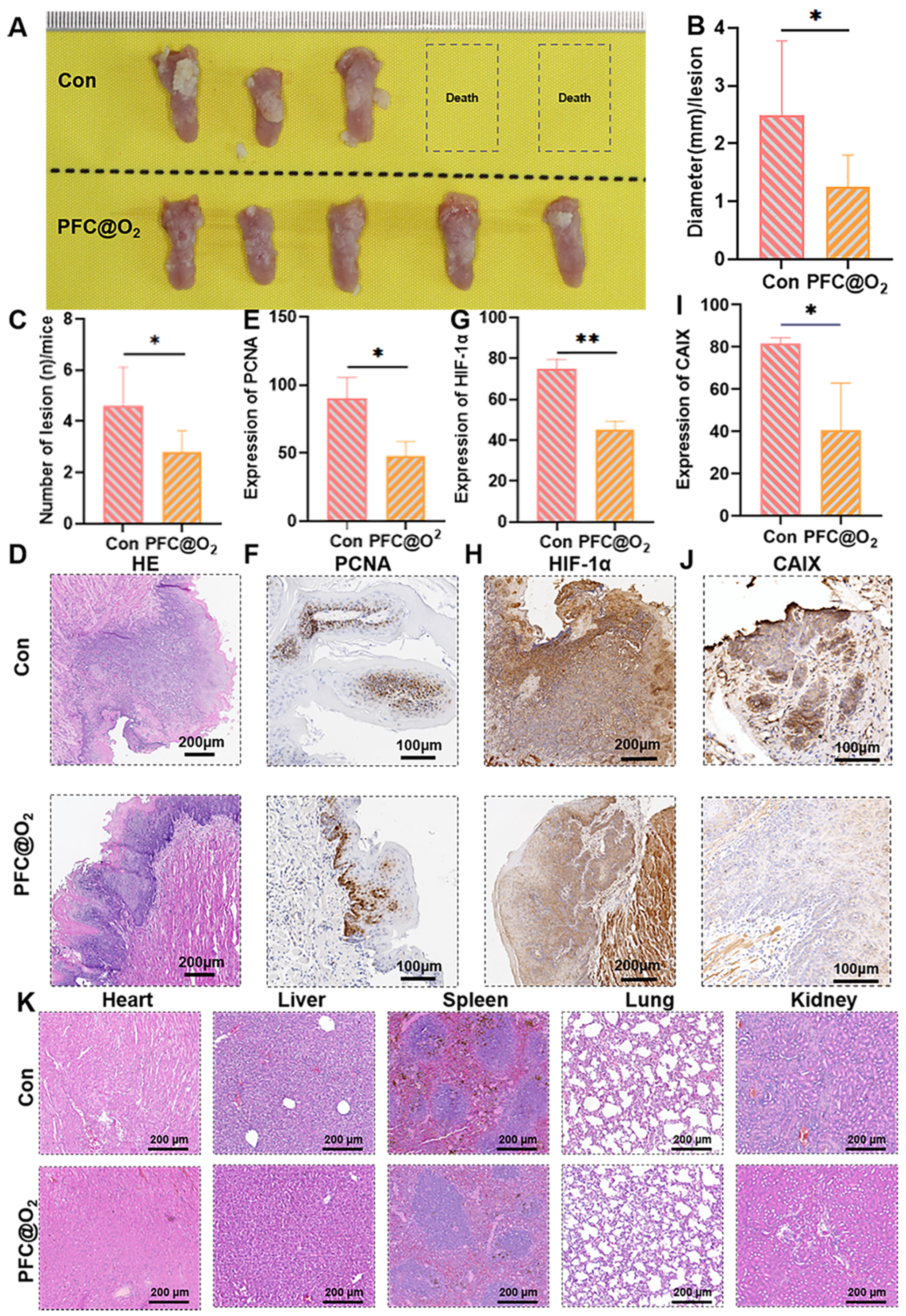 Jcm 12 00560 g003 Jcm 12 00560 g003