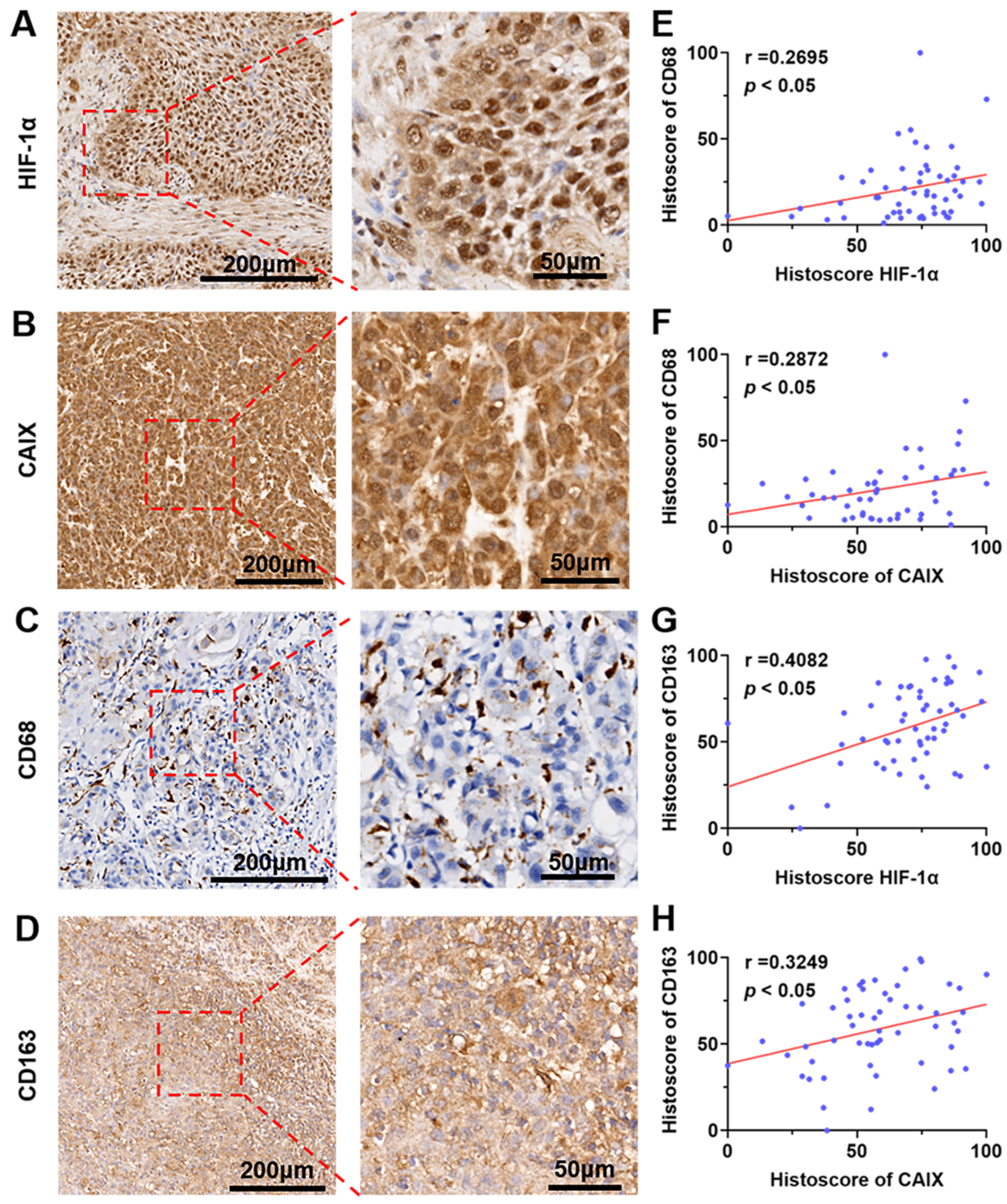 Jcm 12 00560 g005 Jcm 12 00560 g005