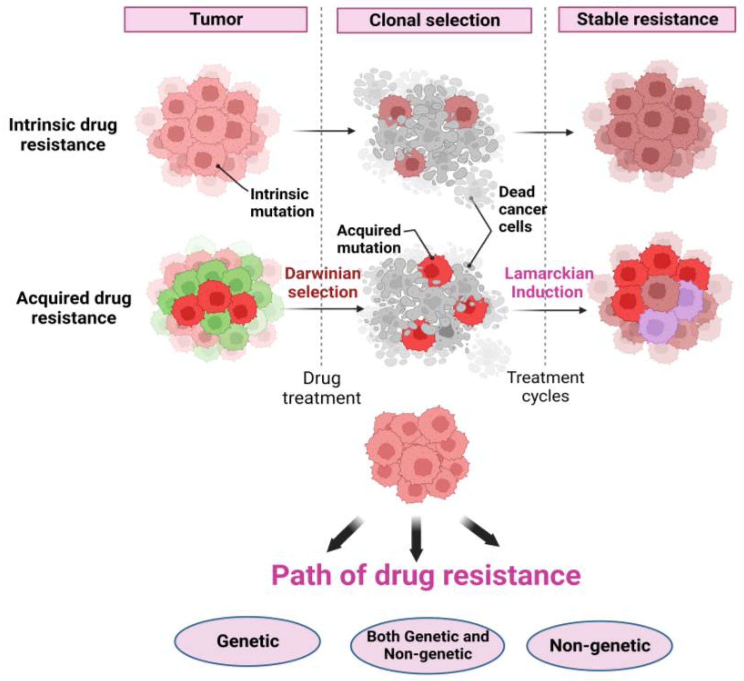 Jcm 12 00599 g002 Jcm 12 00599 g002