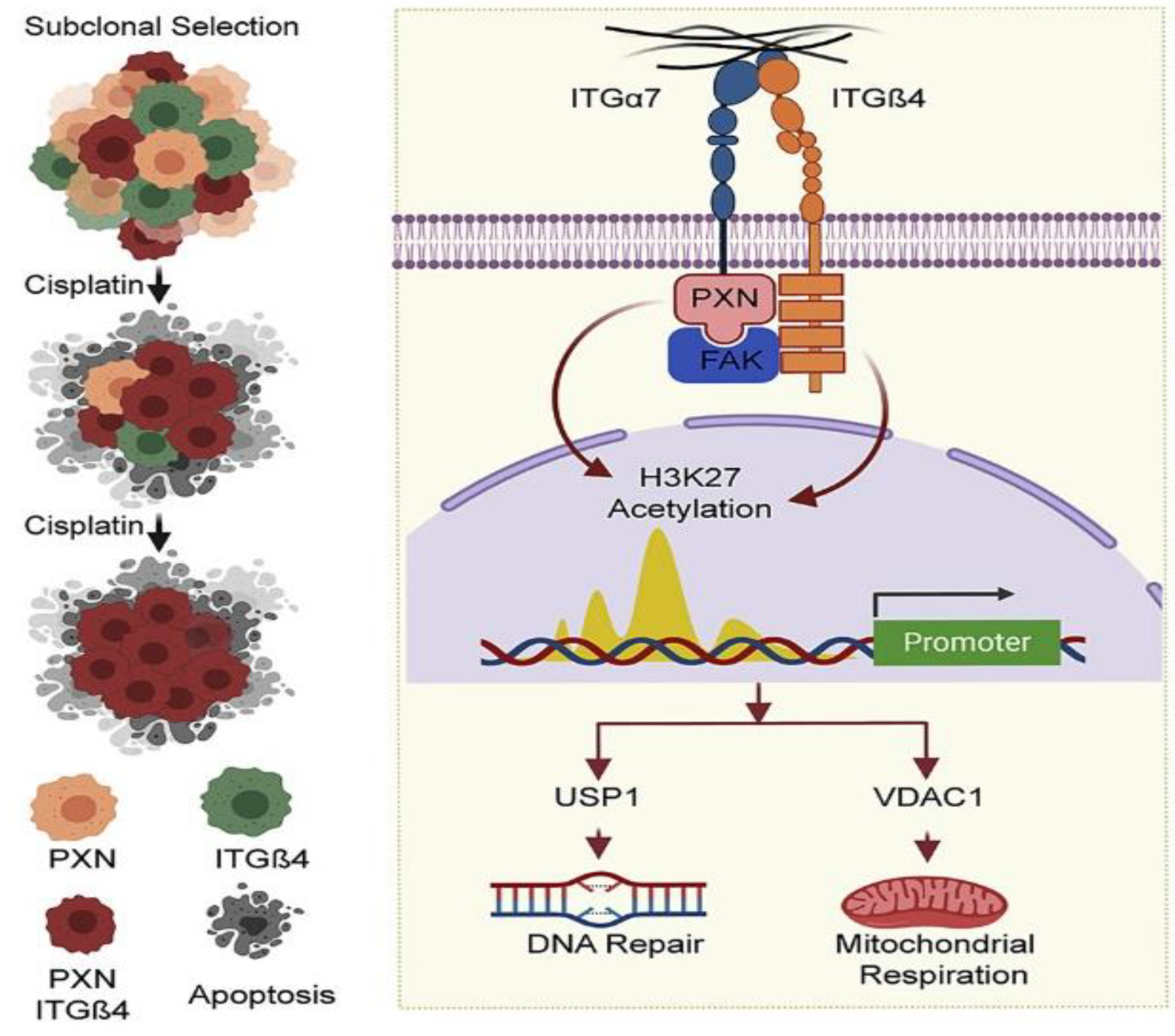 Jcm 12 00599 g003 Jcm 12 00599 g003