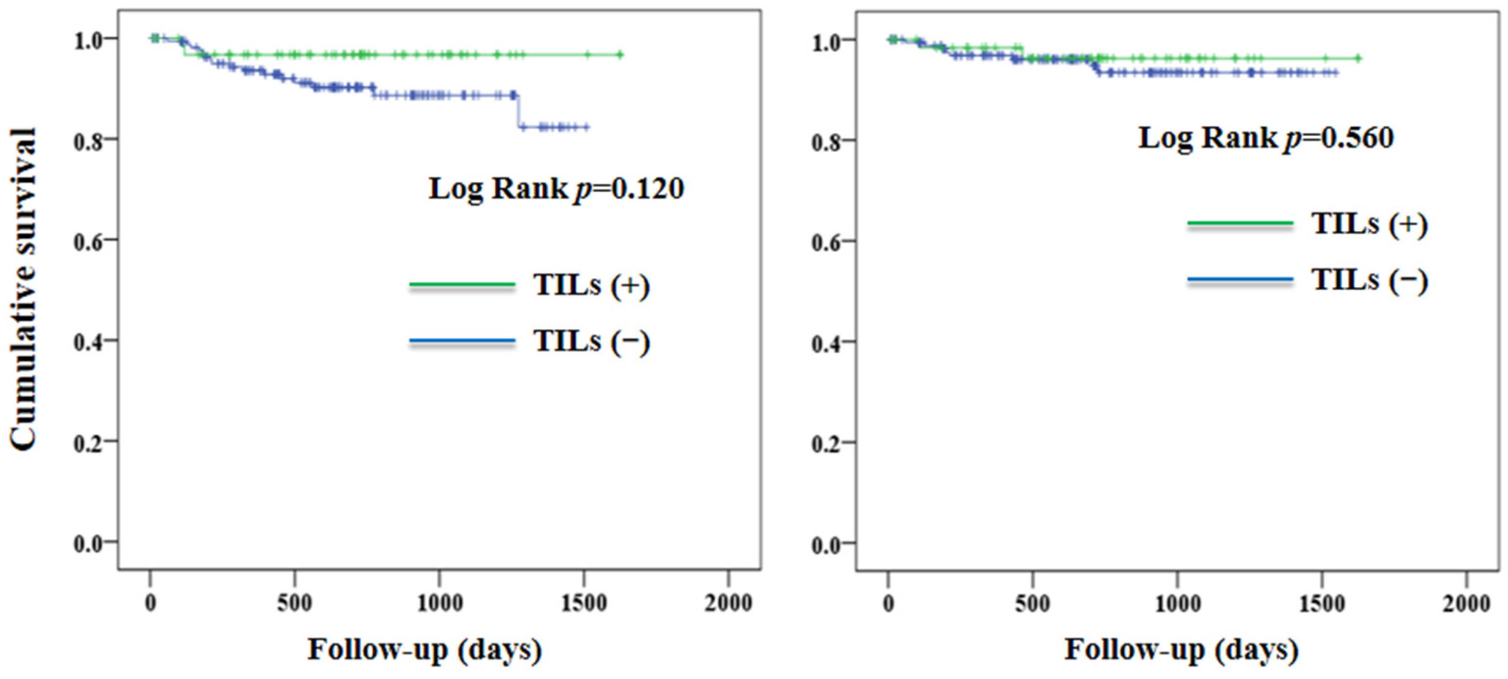 Jcm 12 00603 g003 Jcm 12 00603 g003