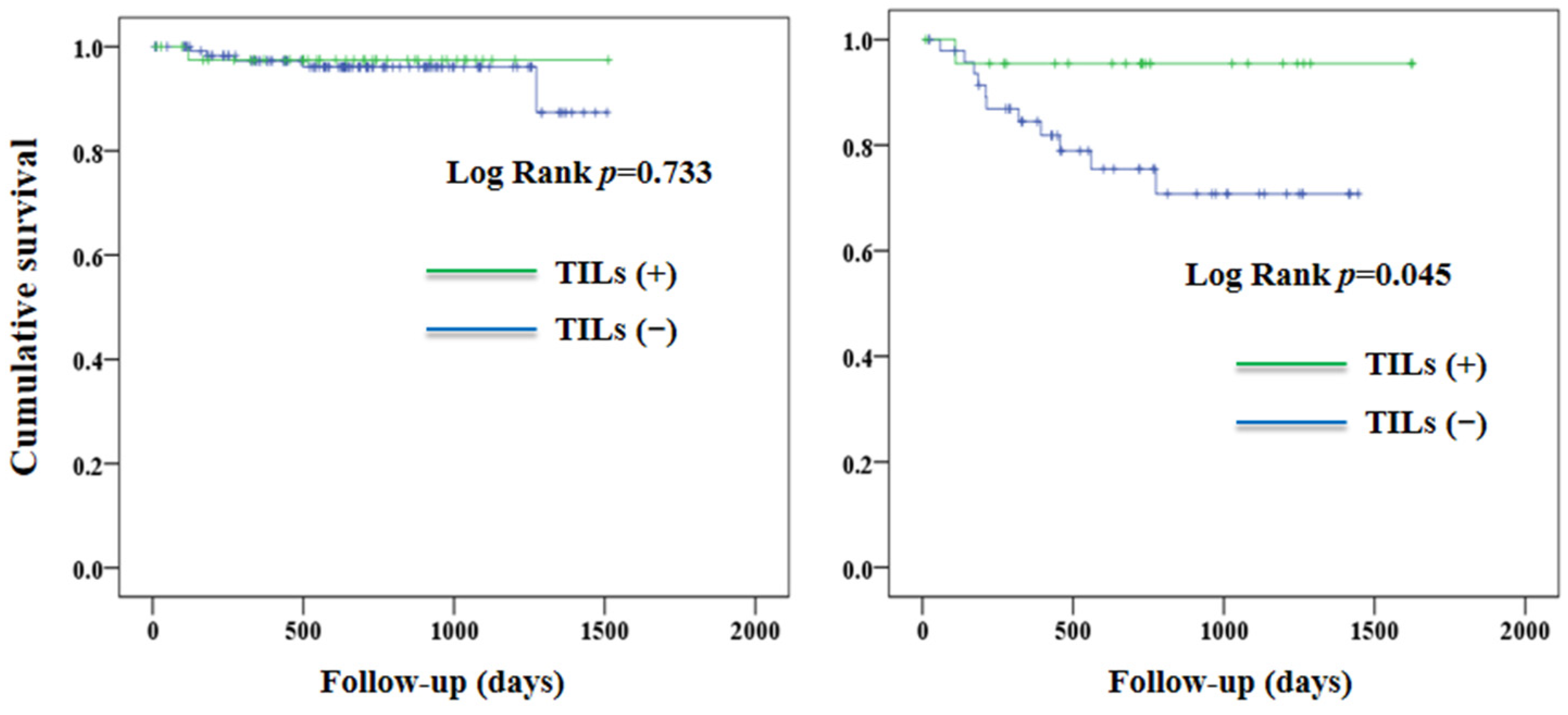 Jcm 12 00603 g004 Jcm 12 00603 g004