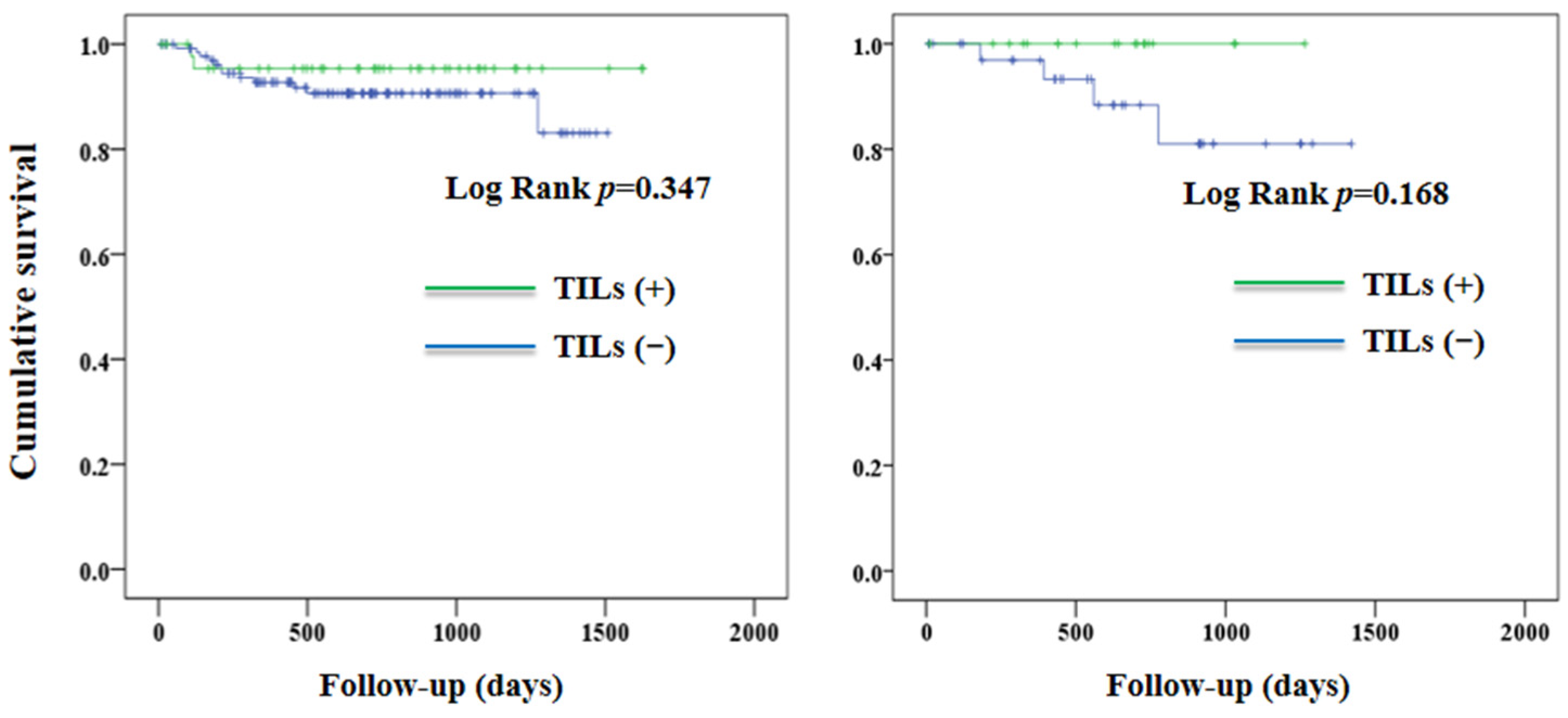 Jcm 12 00603 g005 Jcm 12 00603 g005