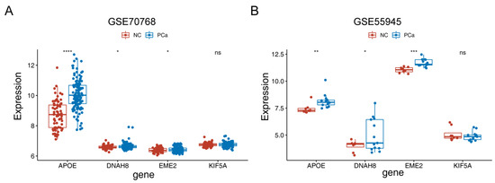 A Novel Four Mitochondrial Respiration-Related Signature for