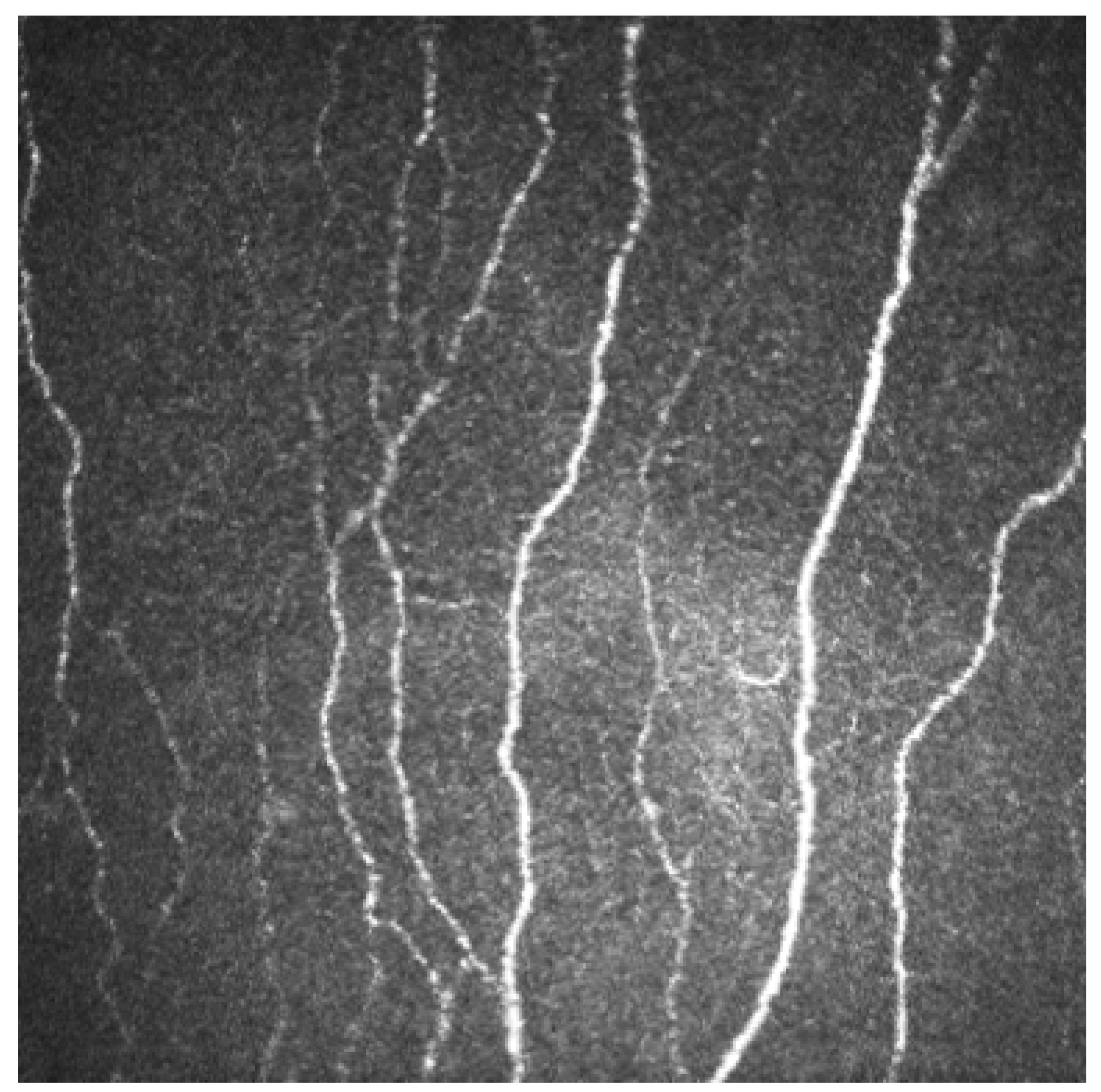 Jcm 12 00664 g001 Jcm 12 00664 g001