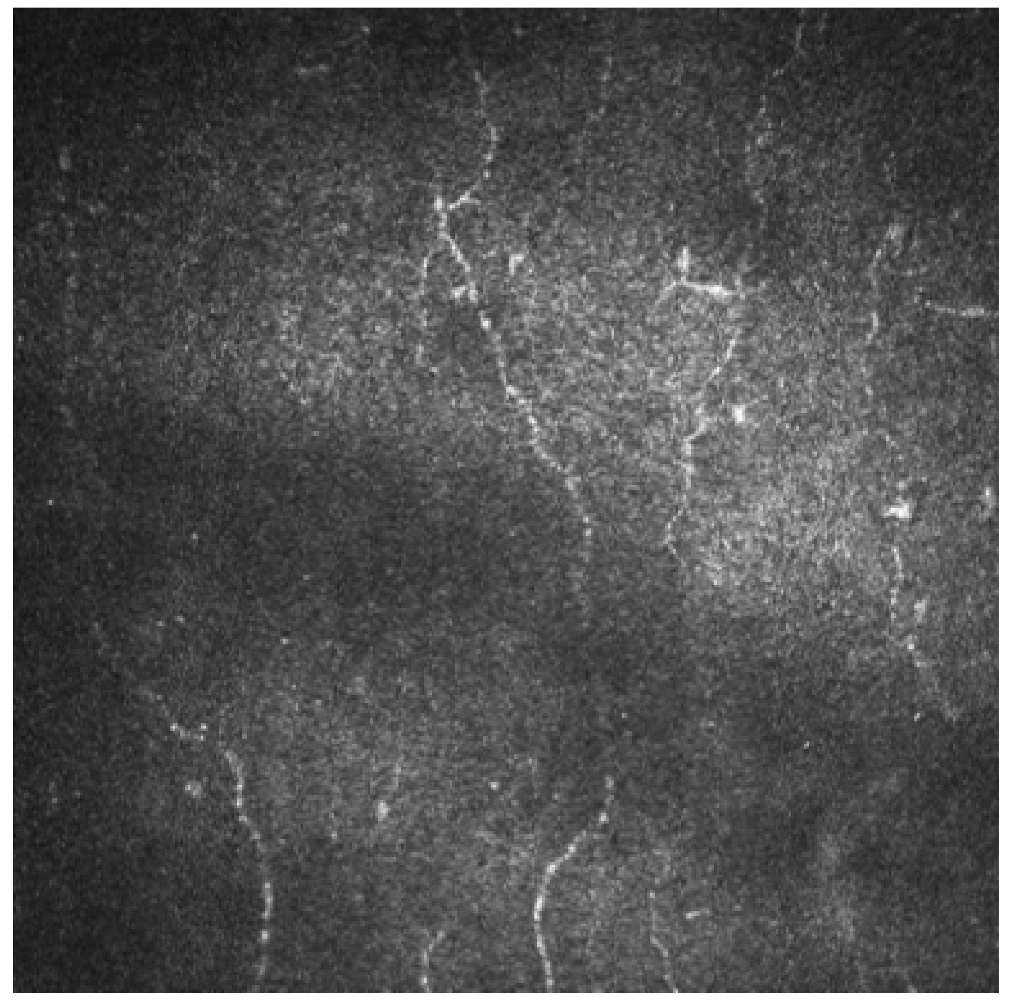 Jcm 12 00664 g002 Jcm 12 00664 g002