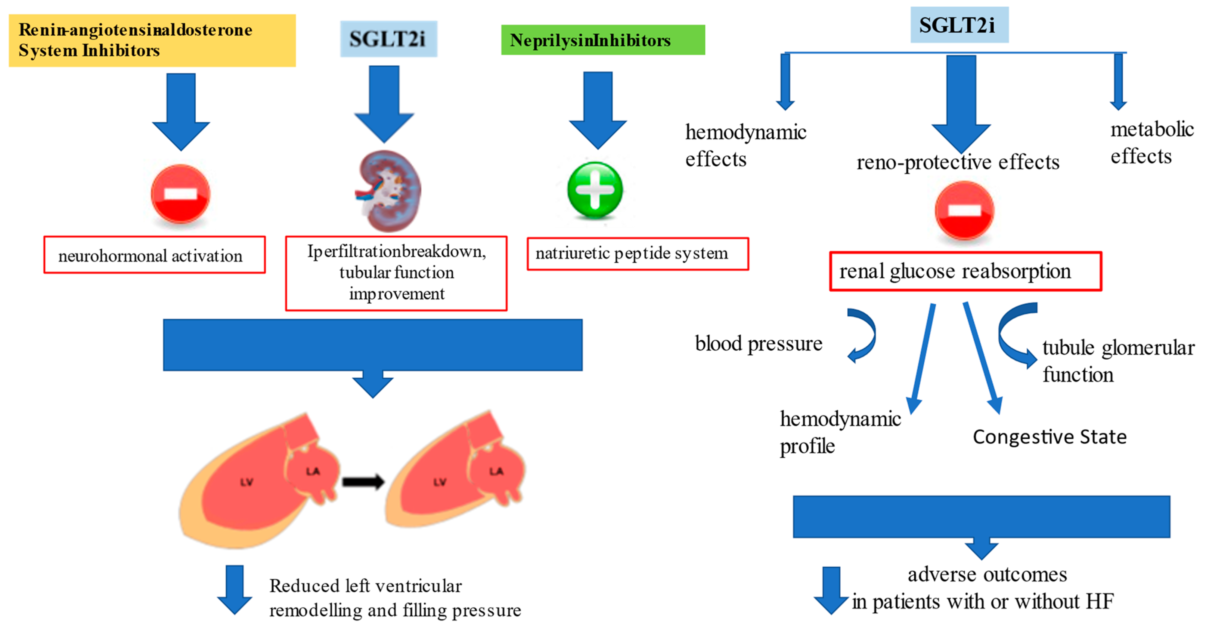 Jcm 12 00693 g002 Jcm 12 00693 g002