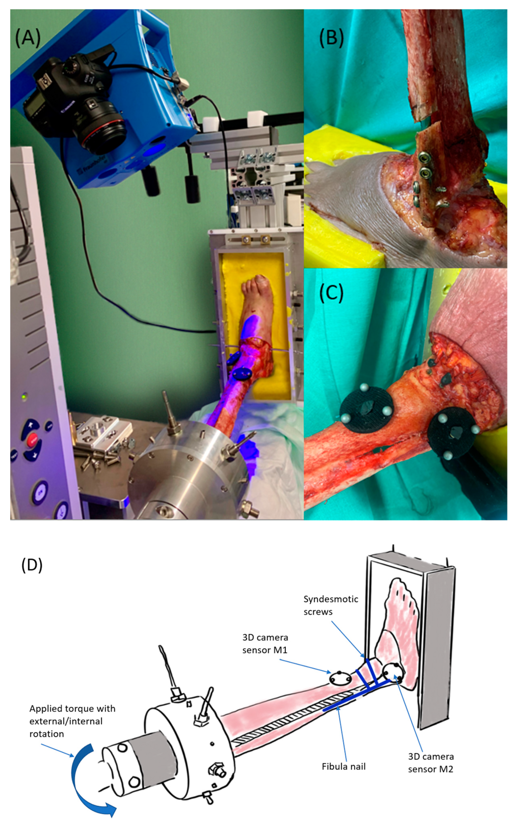 Jcm 12 00698 g002 Jcm 12 00698 g002