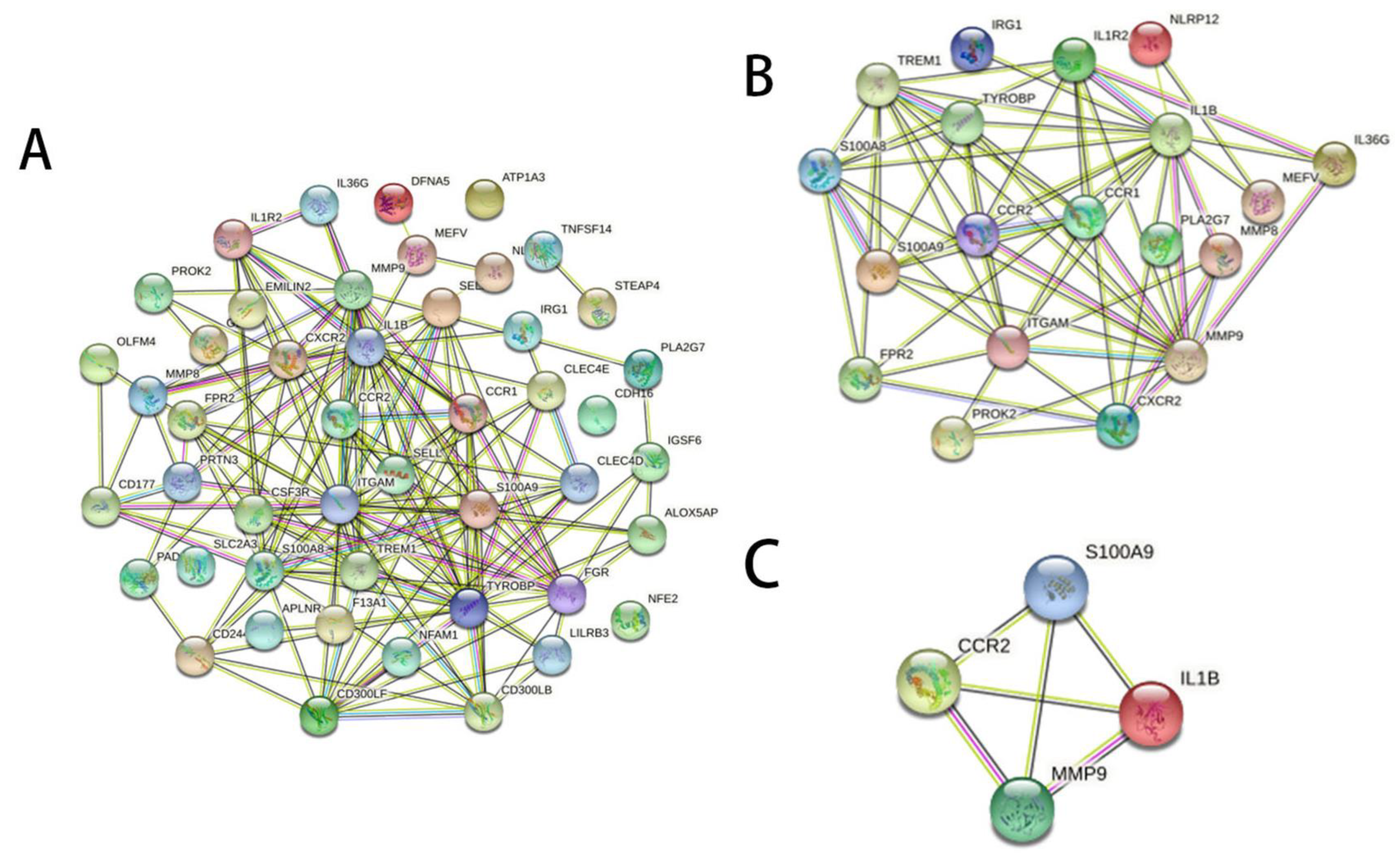 Jcm 12 00733 g003 Jcm 12 00733 g003