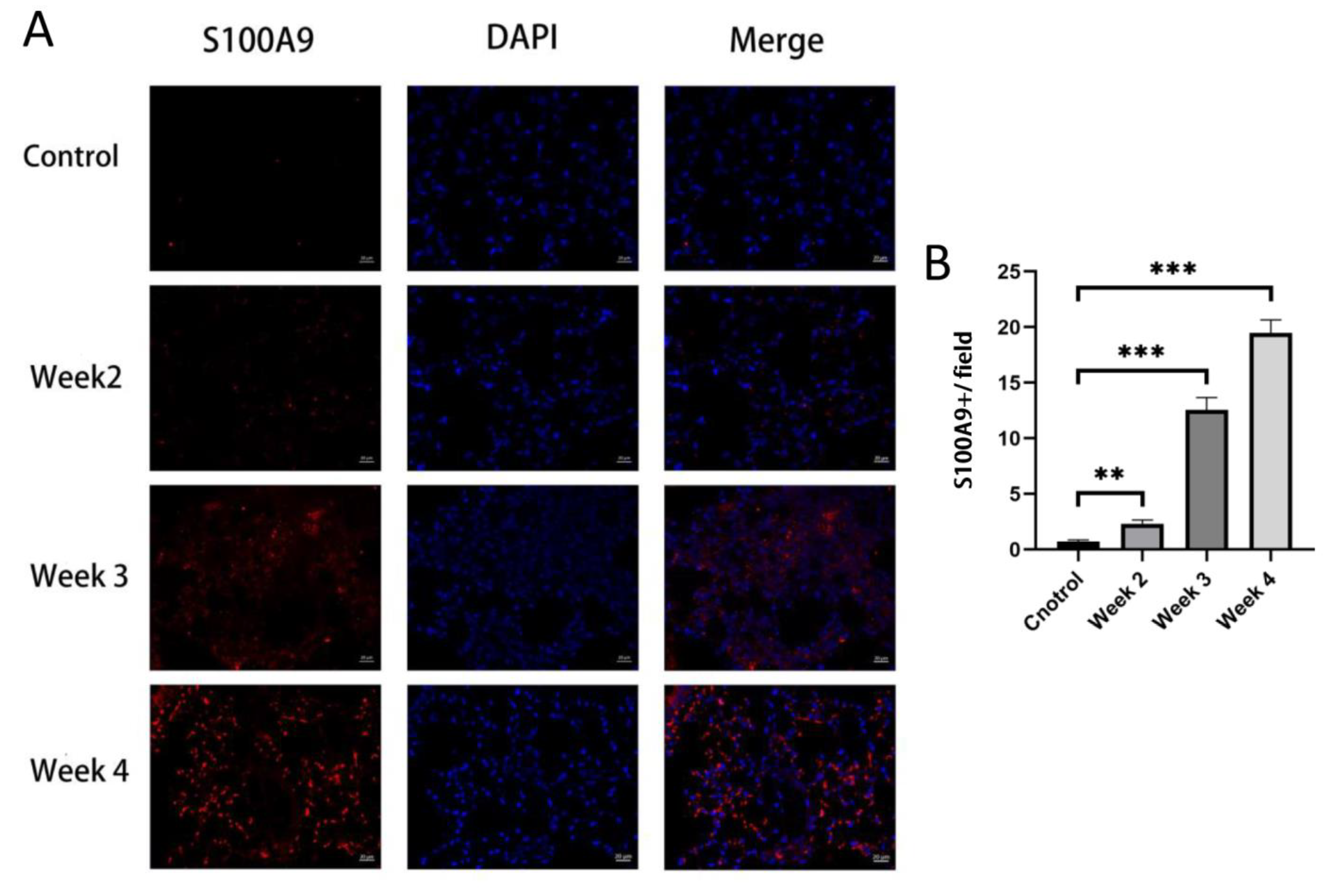 Jcm 12 00733 g006 Jcm 12 00733 g006