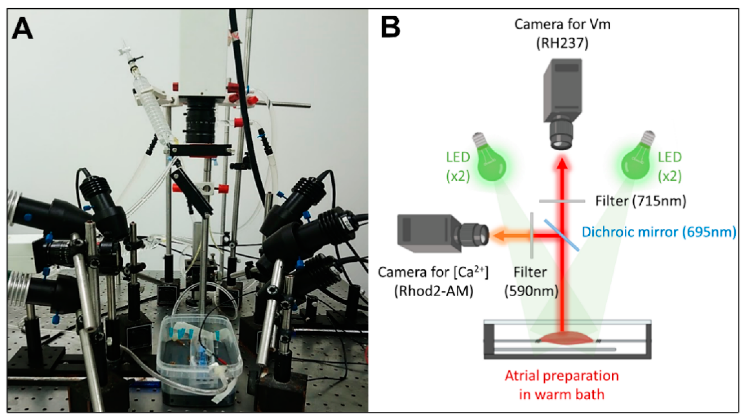 Jcm 12 00746 g001 Jcm 12 00746 g001