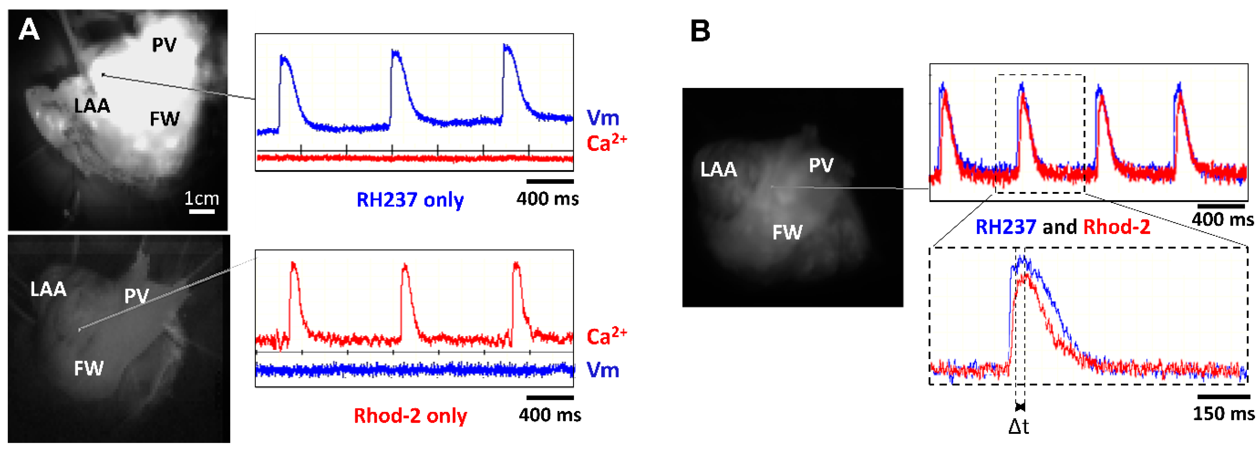 Jcm 12 00746 g003 Jcm 12 00746 g003