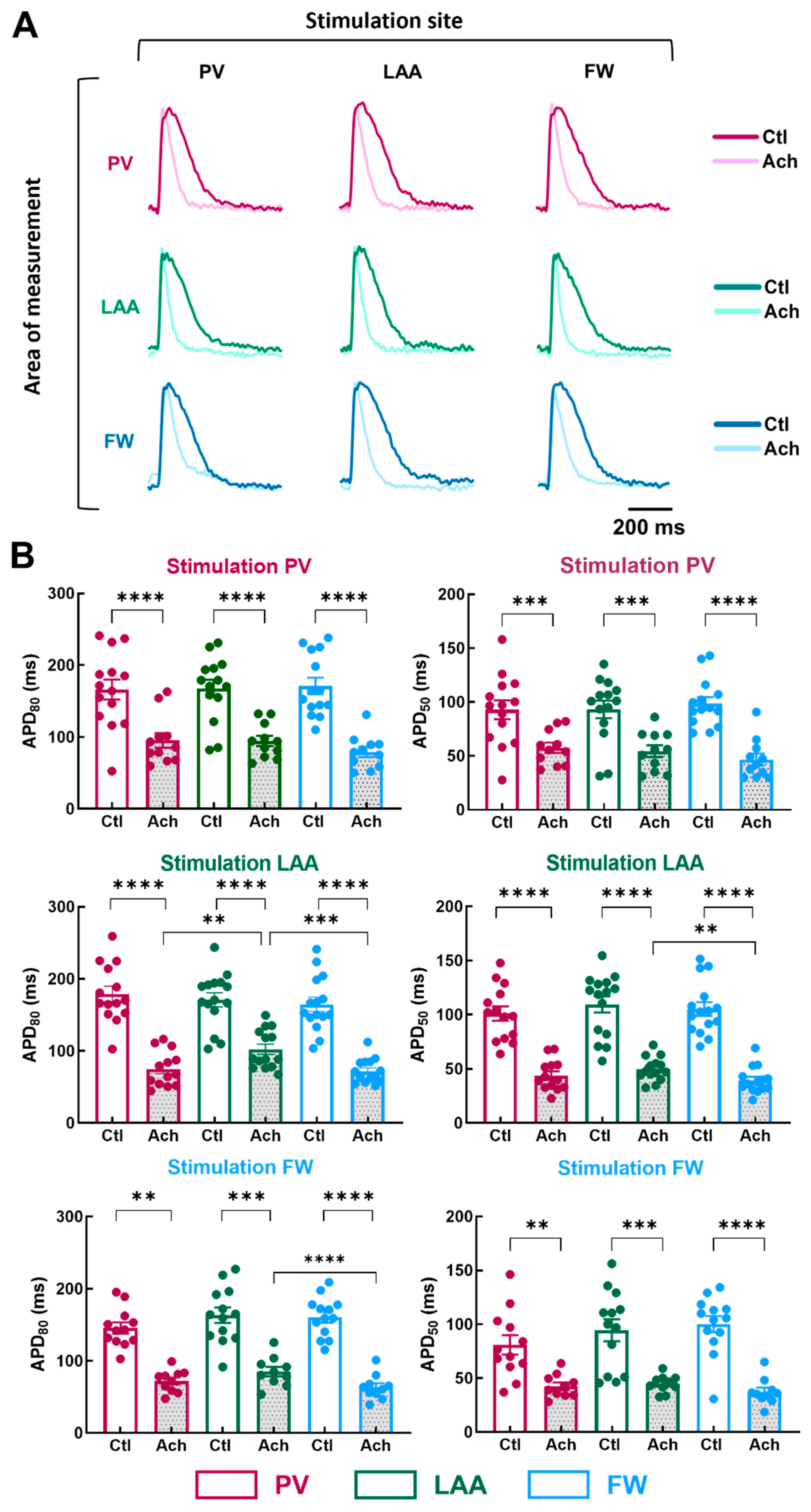 Jcm 12 00746 g004 Jcm 12 00746 g004