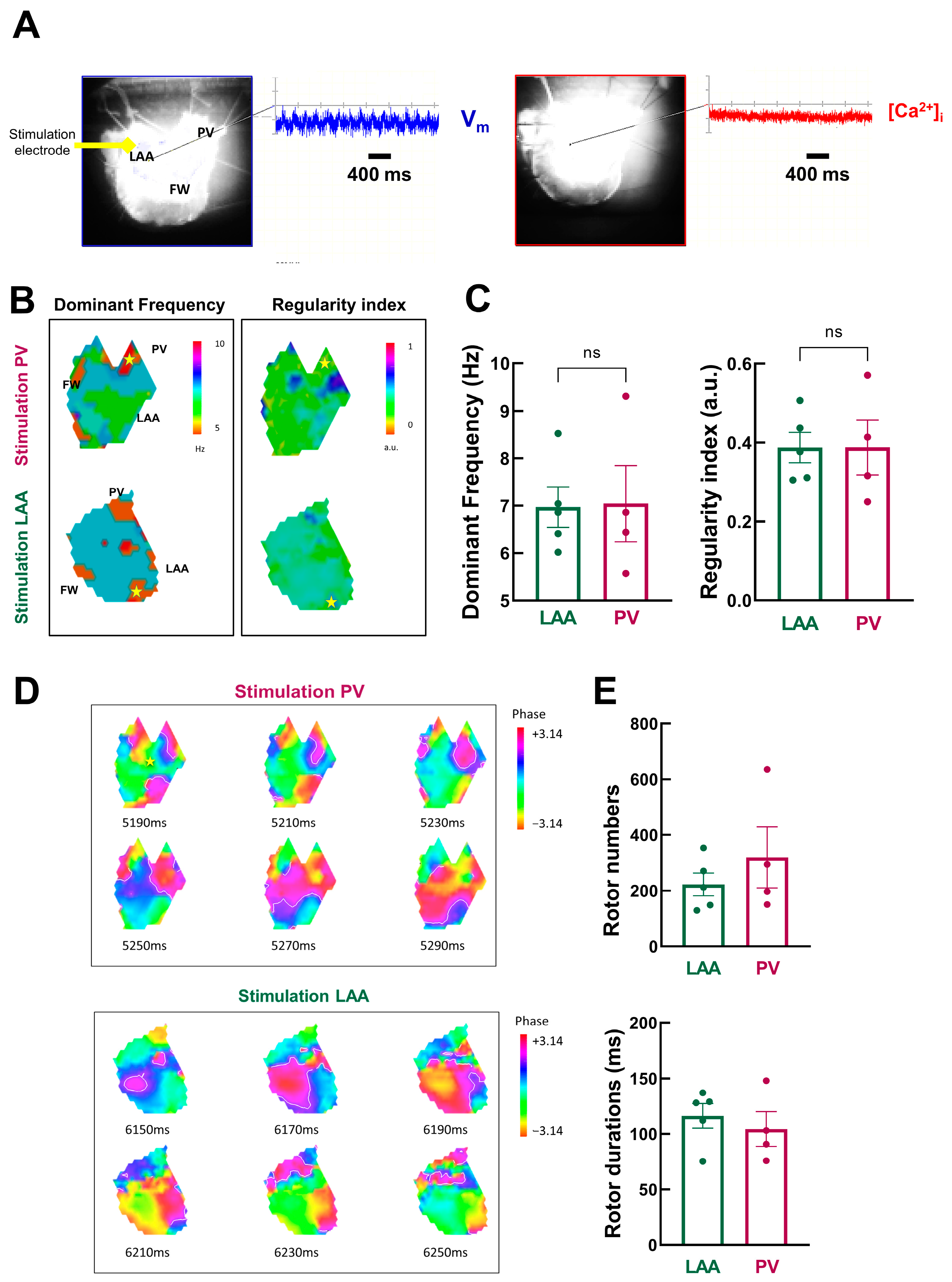 Jcm 12 00746 g007 Jcm 12 00746 g007