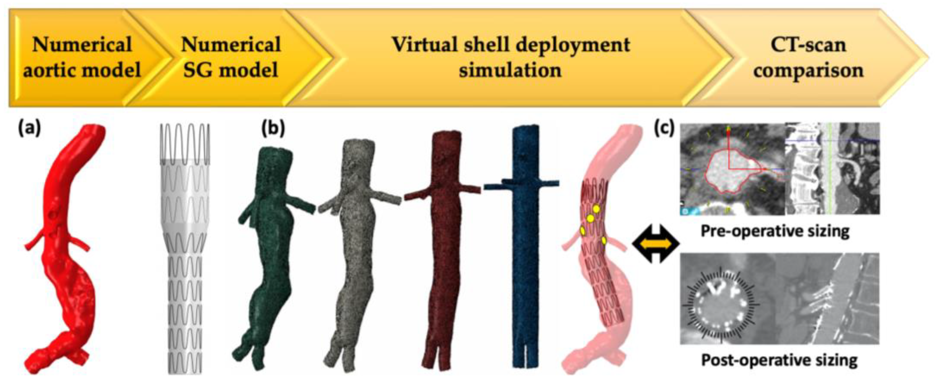 Jcm 12 00766 g002 Jcm 12 00766 g002