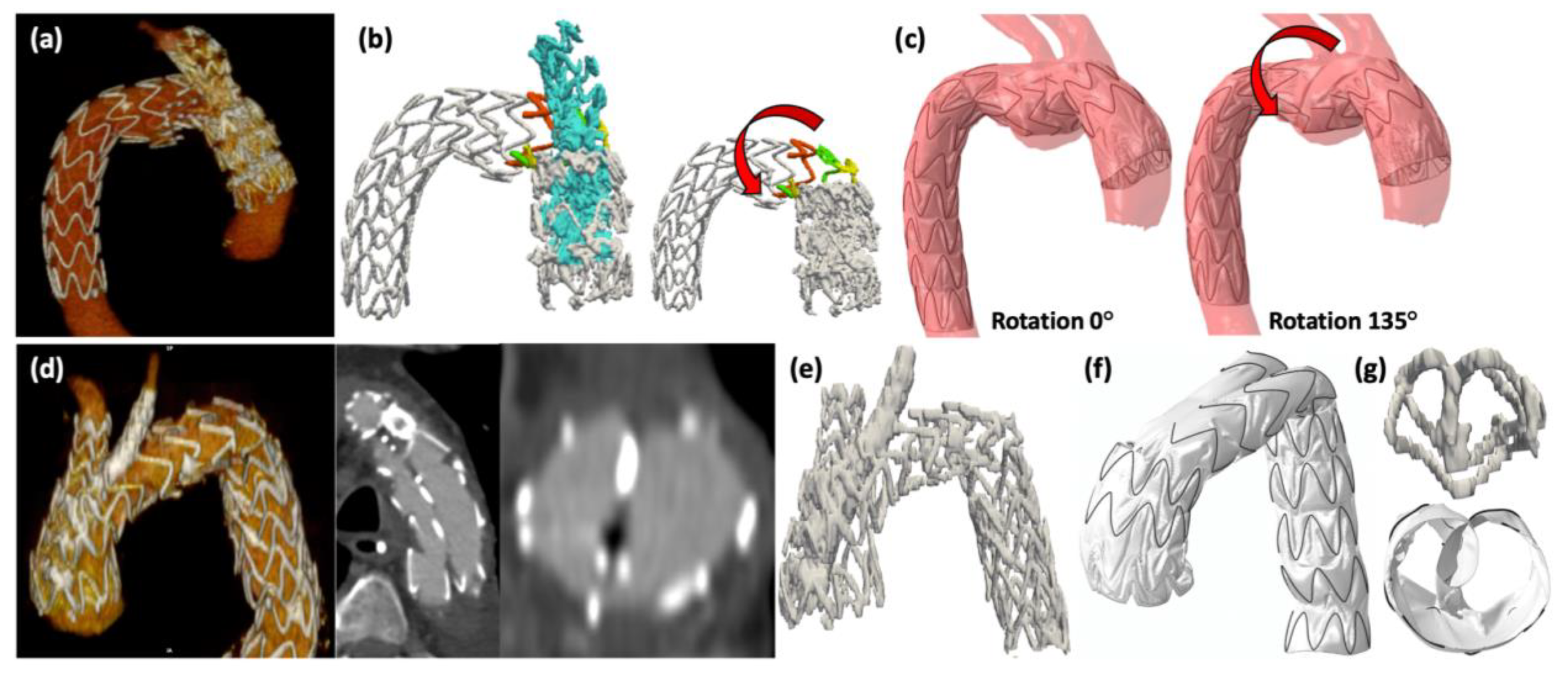 Jcm 12 00766 g004 Jcm 12 00766 g004