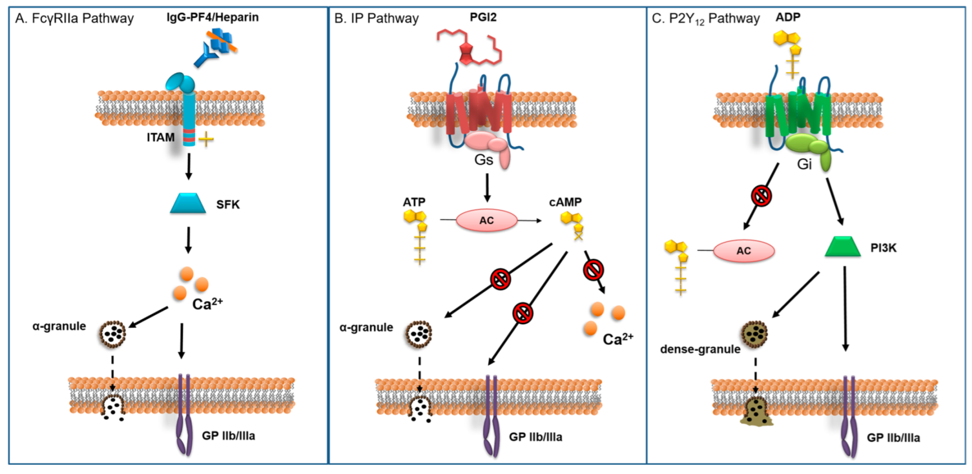 Jcm 12 00786 g001 Jcm 12 00786 g001