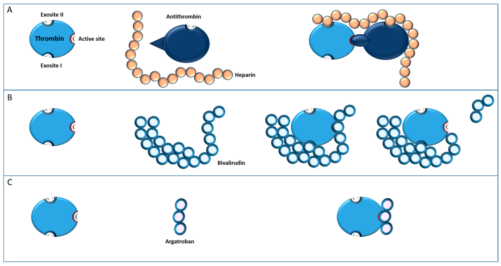 Jcm 12 00786 g002 Jcm 12 00786 g002