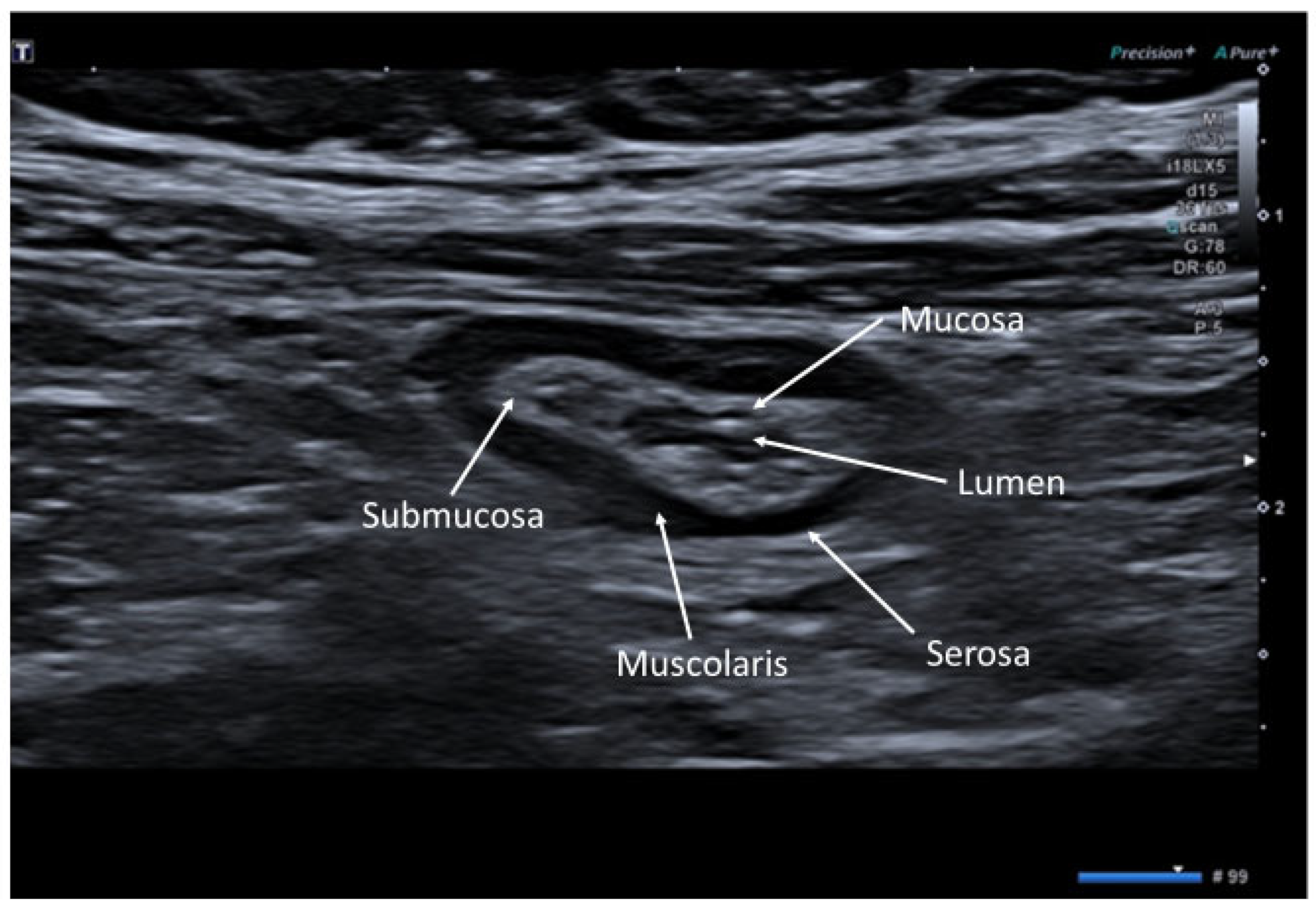 Jcm 12 00799 g002 Jcm 12 00799 g002