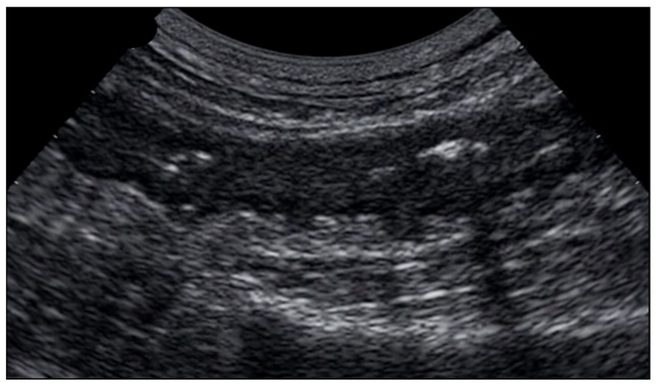 Jcm 12 00799 g008 Jcm 12 00799 g008