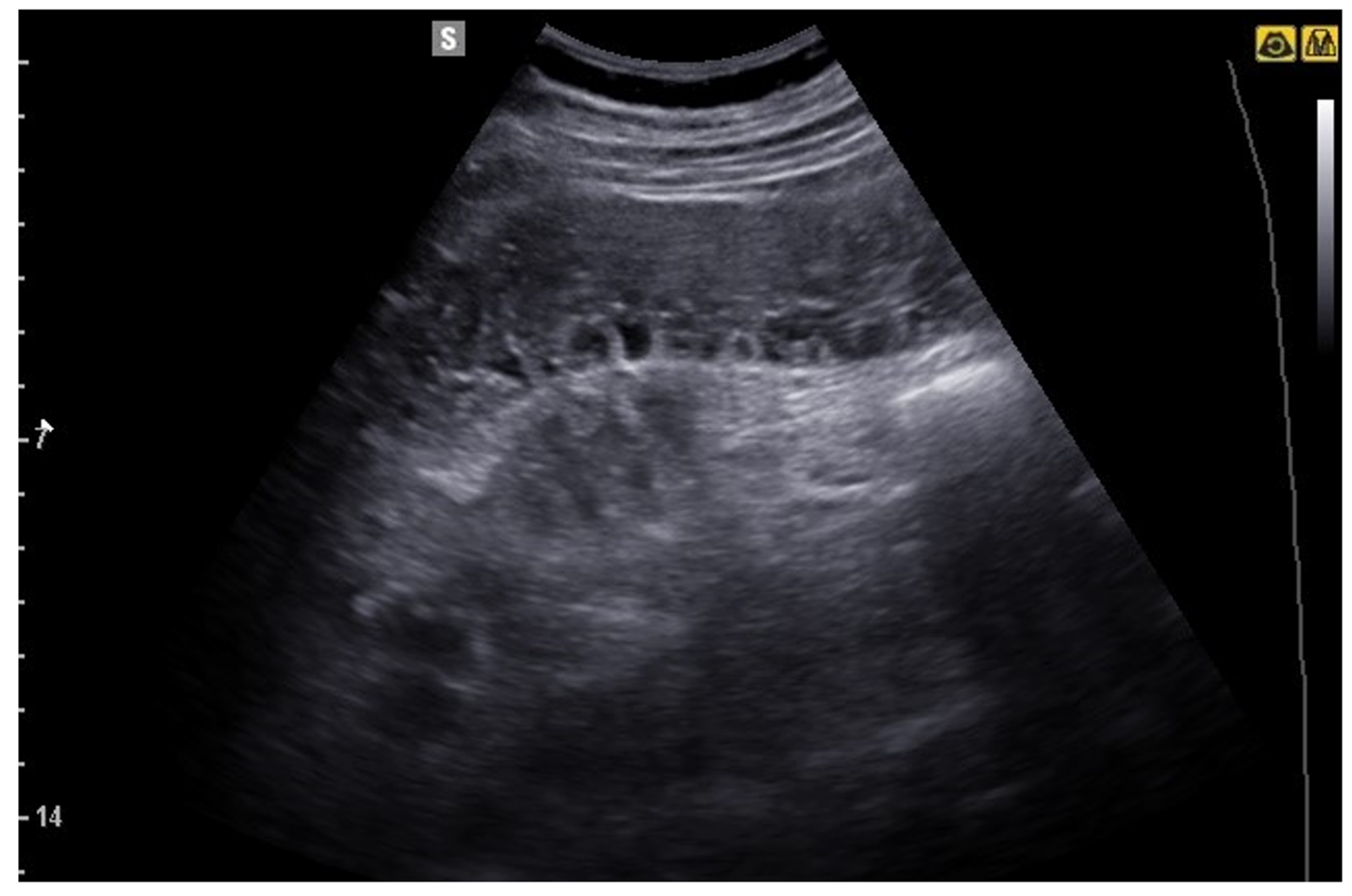 Jcm 12 00799 g013 Jcm 12 00799 g013