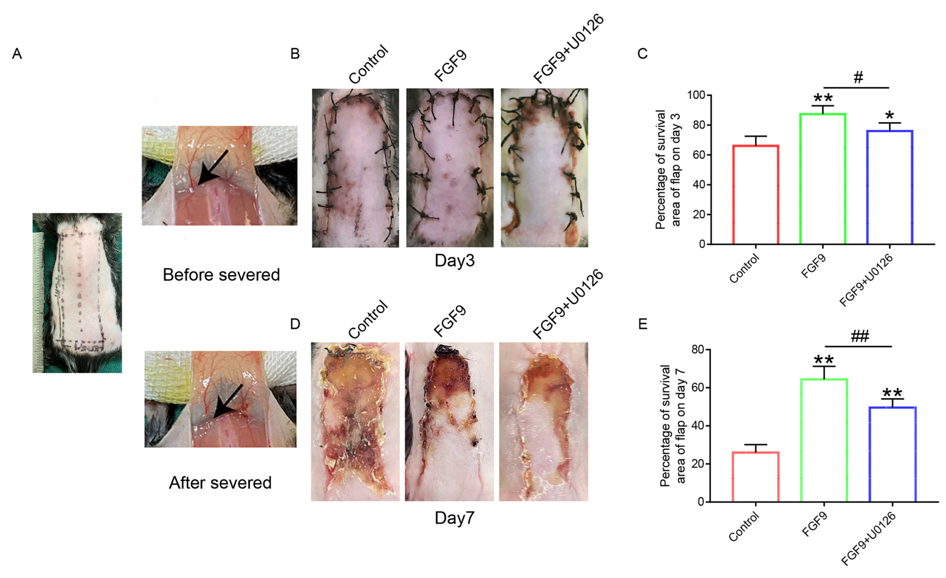 Jcm 12 00809 g001 Jcm 12 00809 g001
