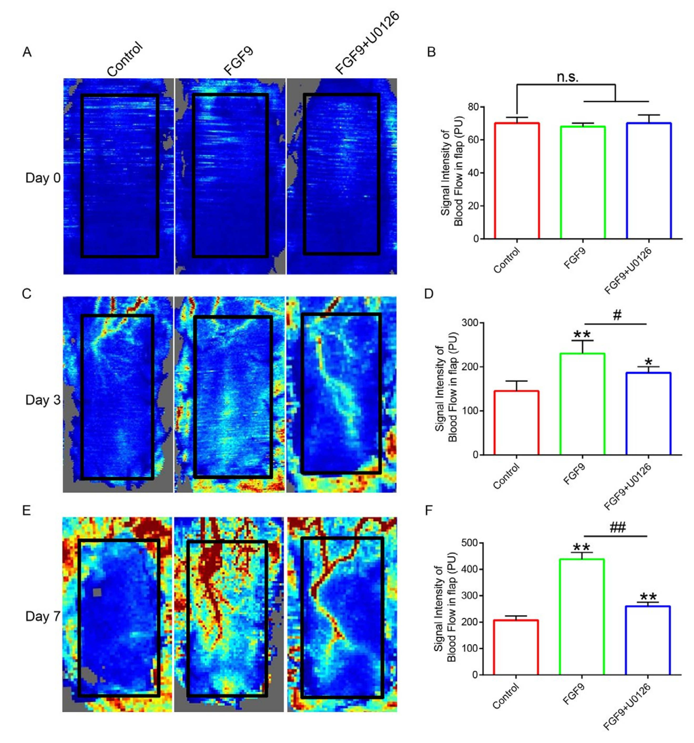 Jcm 12 00809 g002 Jcm 12 00809 g002