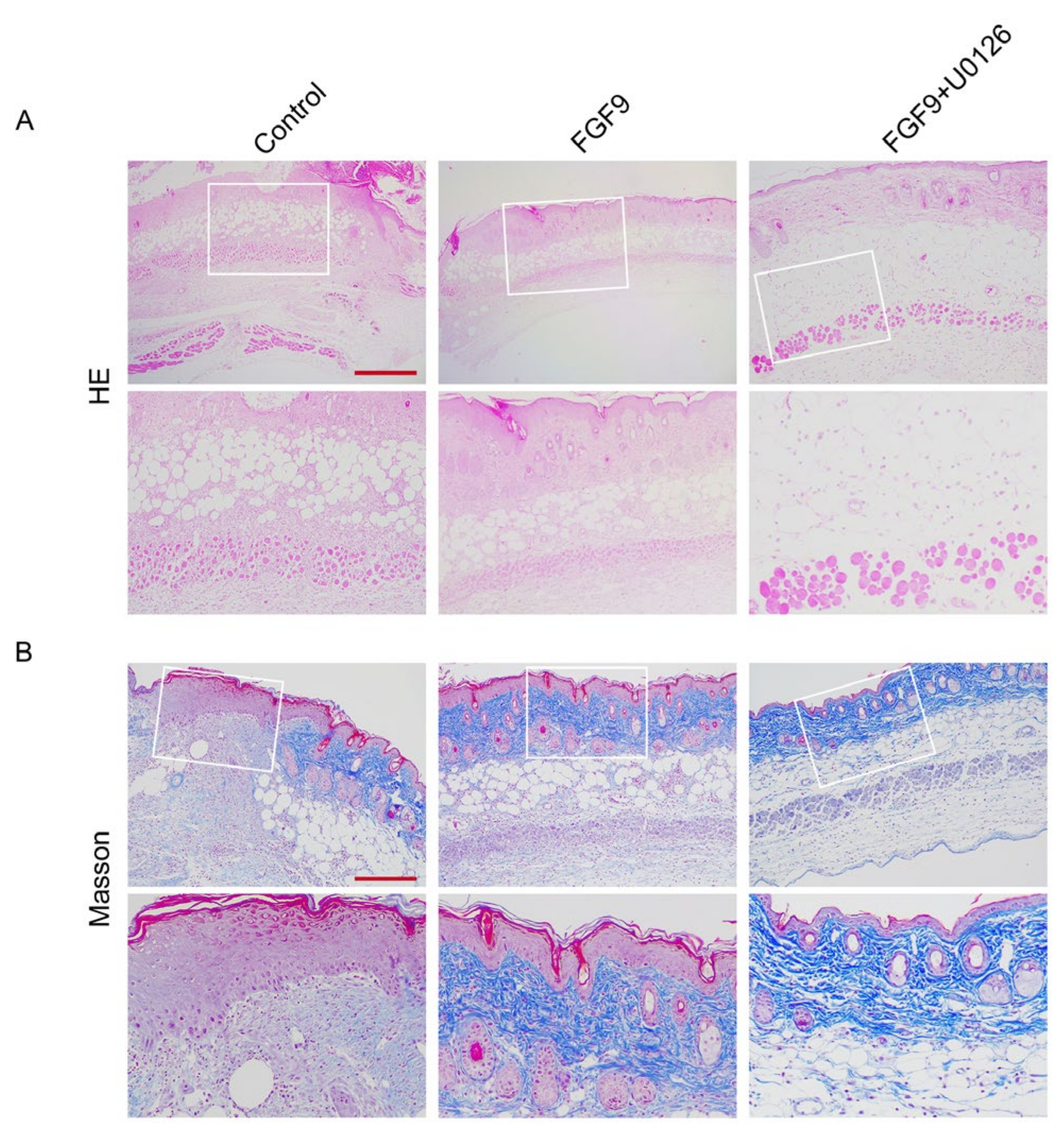 Jcm 12 00809 g003 Jcm 12 00809 g003