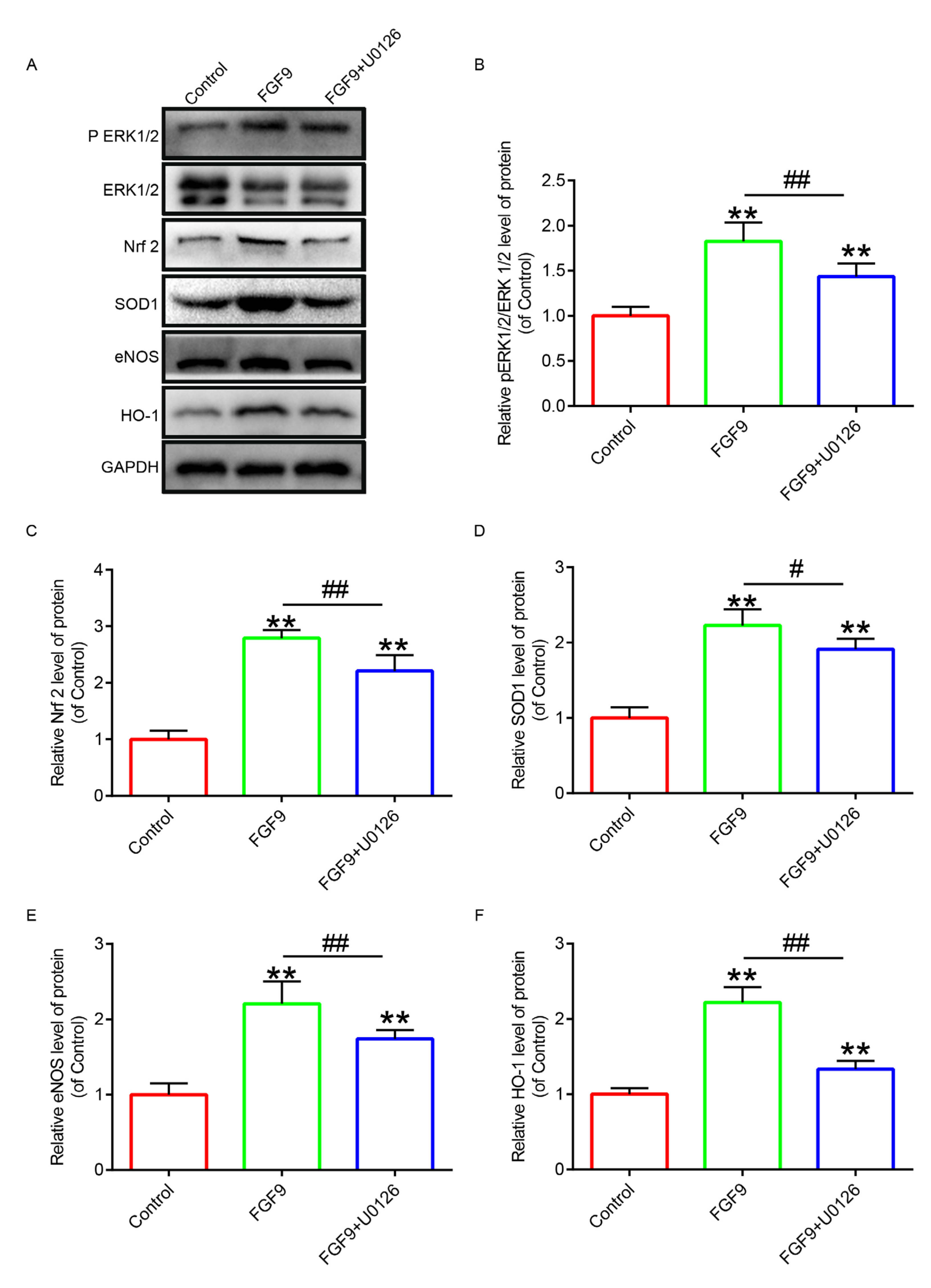 Jcm 12 00809 g006 Jcm 12 00809 g006