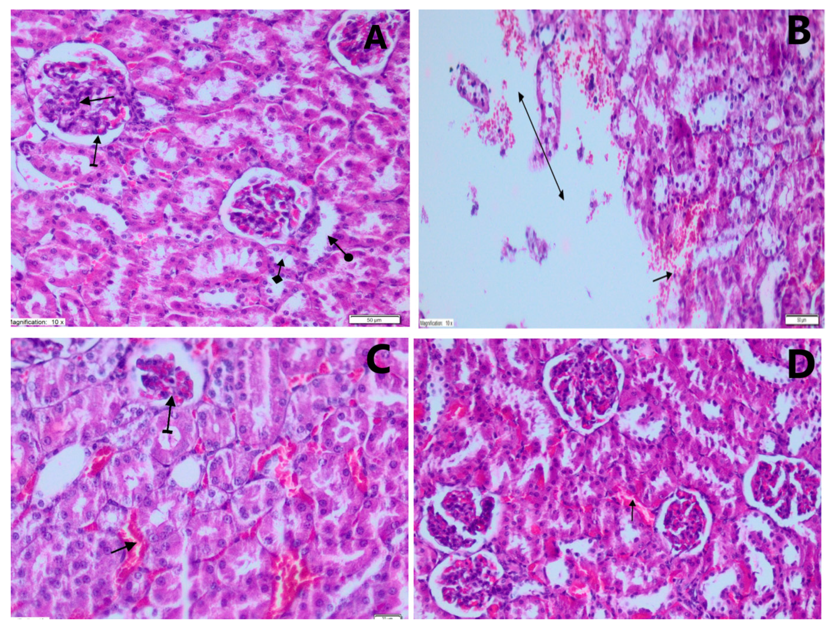 Jcm 12 00876 g001 Jcm 12 00876 g001