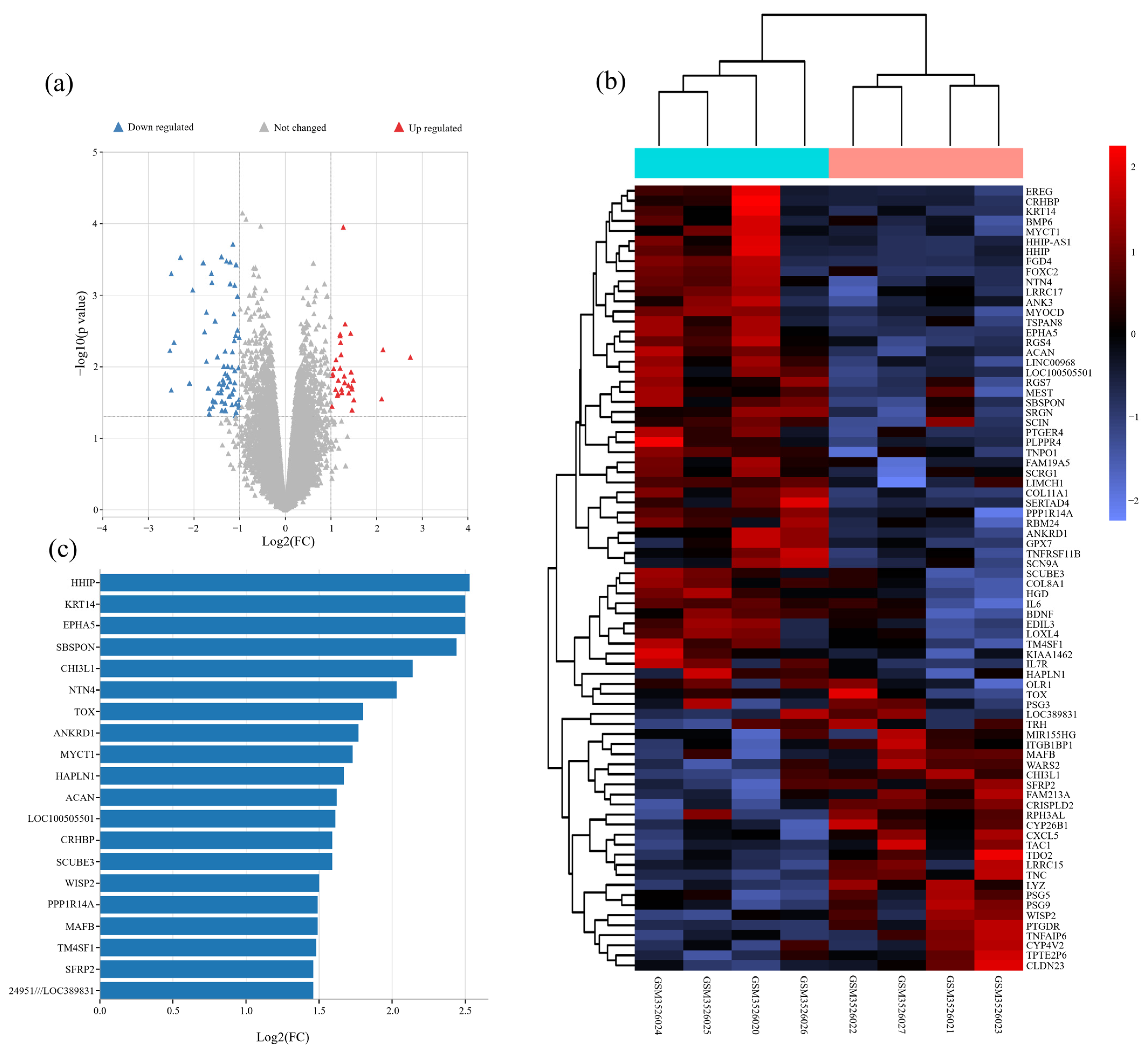 Jcm 12 00888 g001 Jcm 12 00888 g001