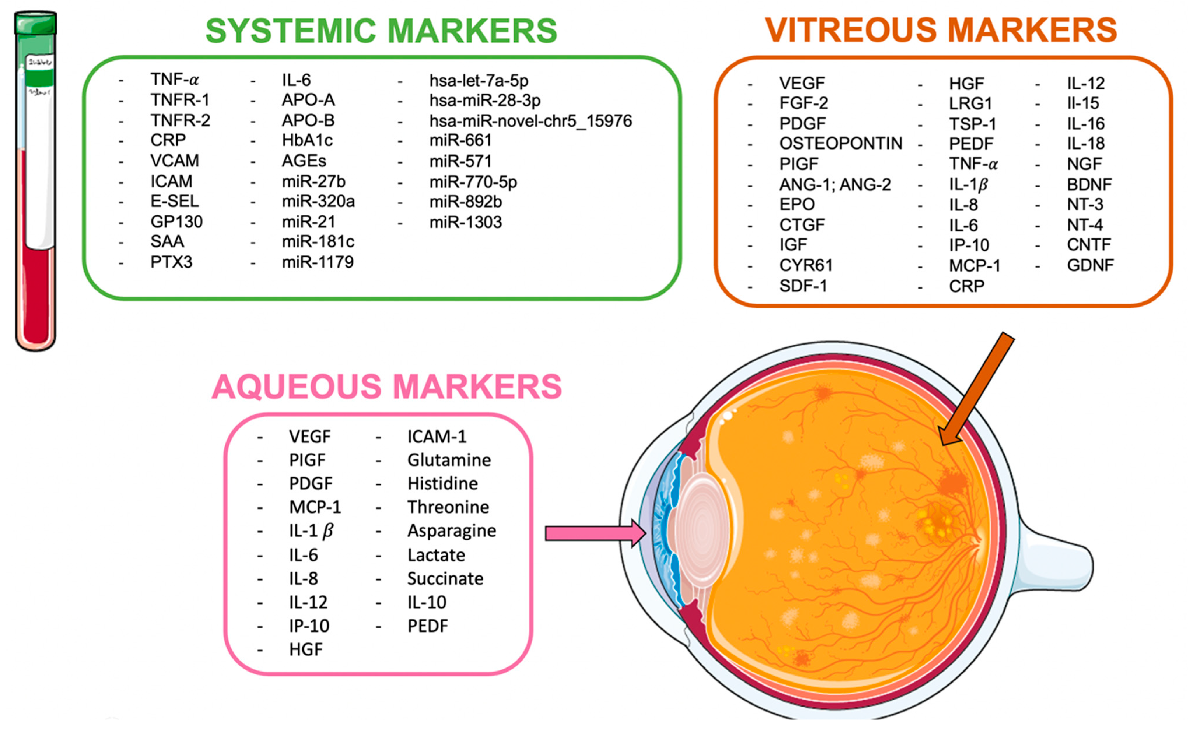 Jcm 12 00912 g001 Jcm 12 00912 g001