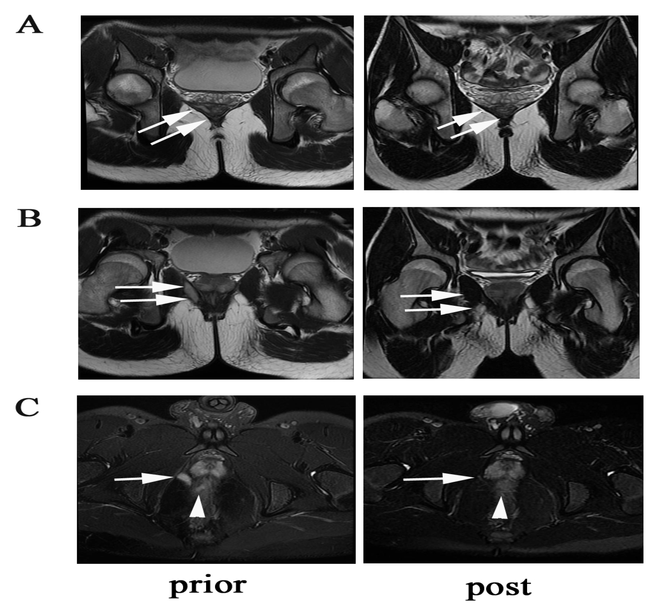 Jcm 12 00939 g005 Jcm 12 00939 g005