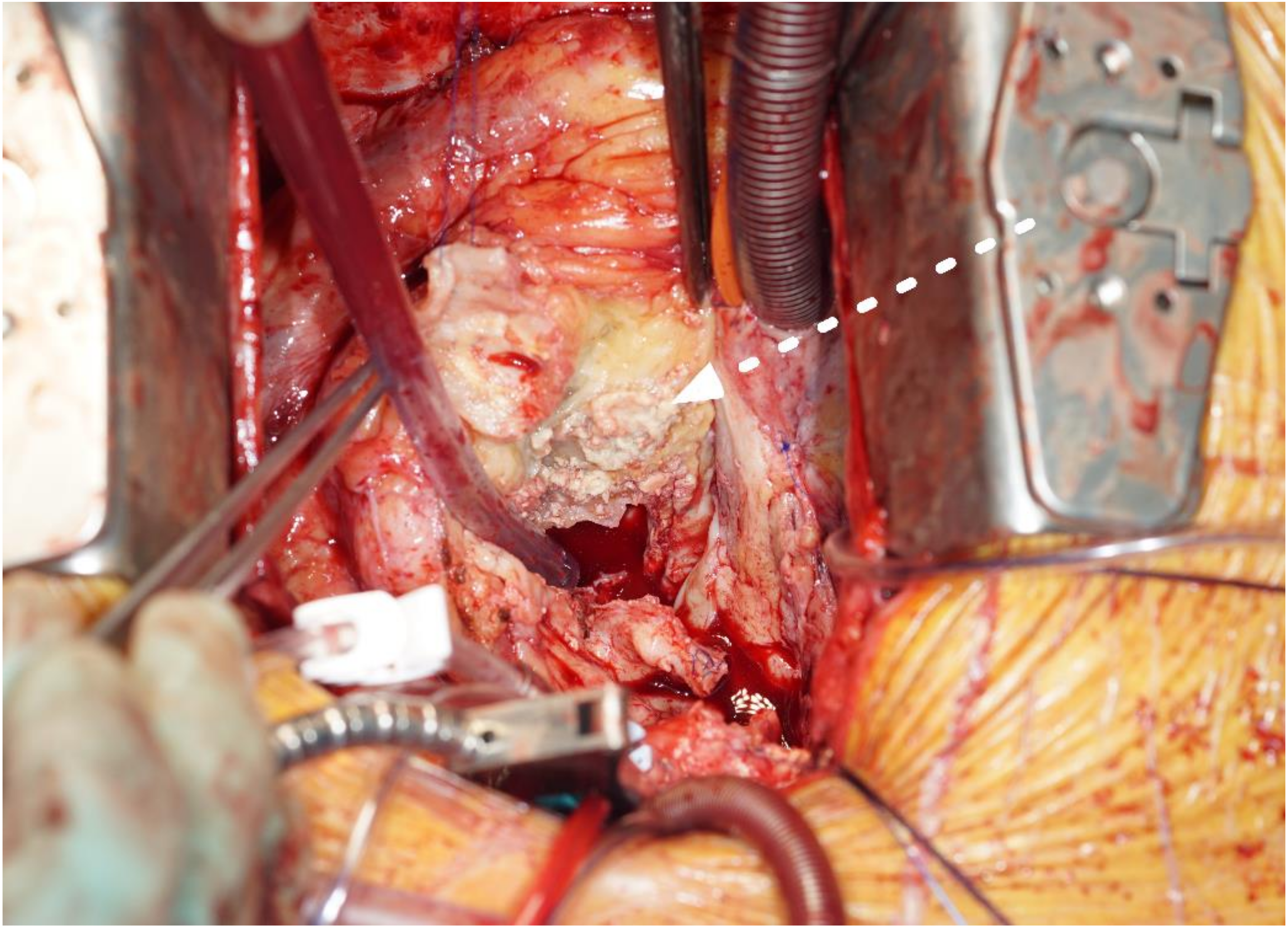 Jcm 12 00948 g002