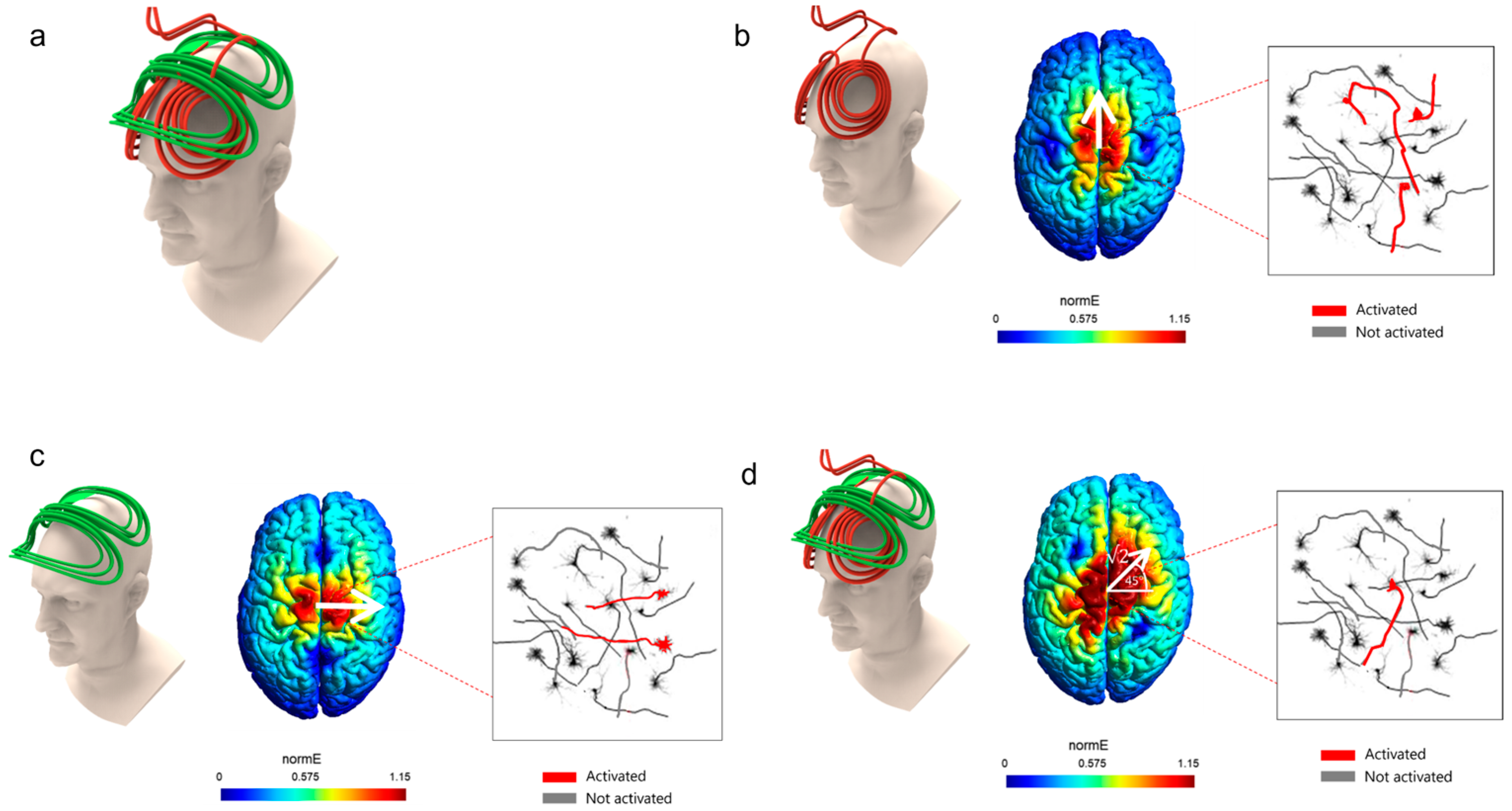 Jcm 12 00983 g003 Jcm 12 00983 g003