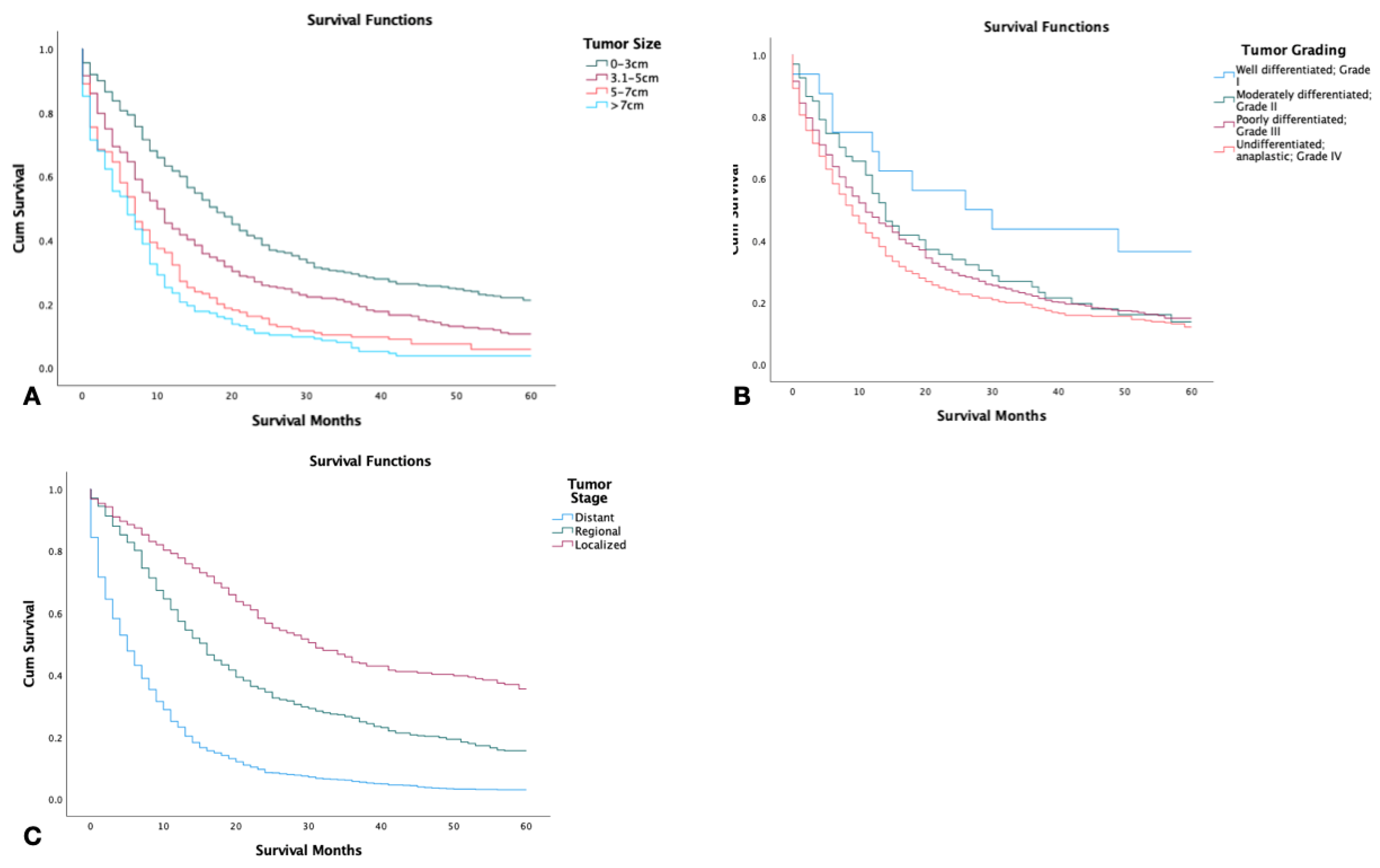 Jcm 12 00991 g002 Jcm 12 00991 g002