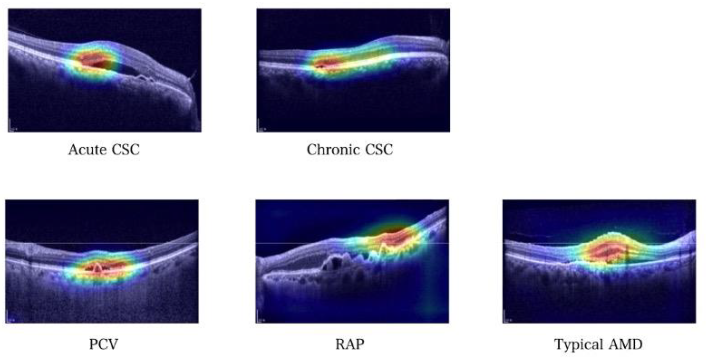 Jcm 12 01005 g005 Jcm 12 01005 g005